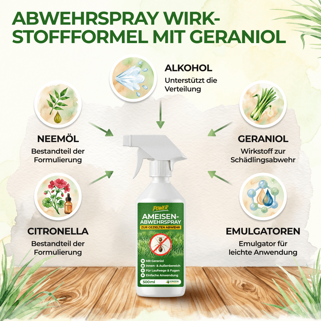 green-guardia-abwehrspray-ameisen-power-konzentrat-500-ml image 6