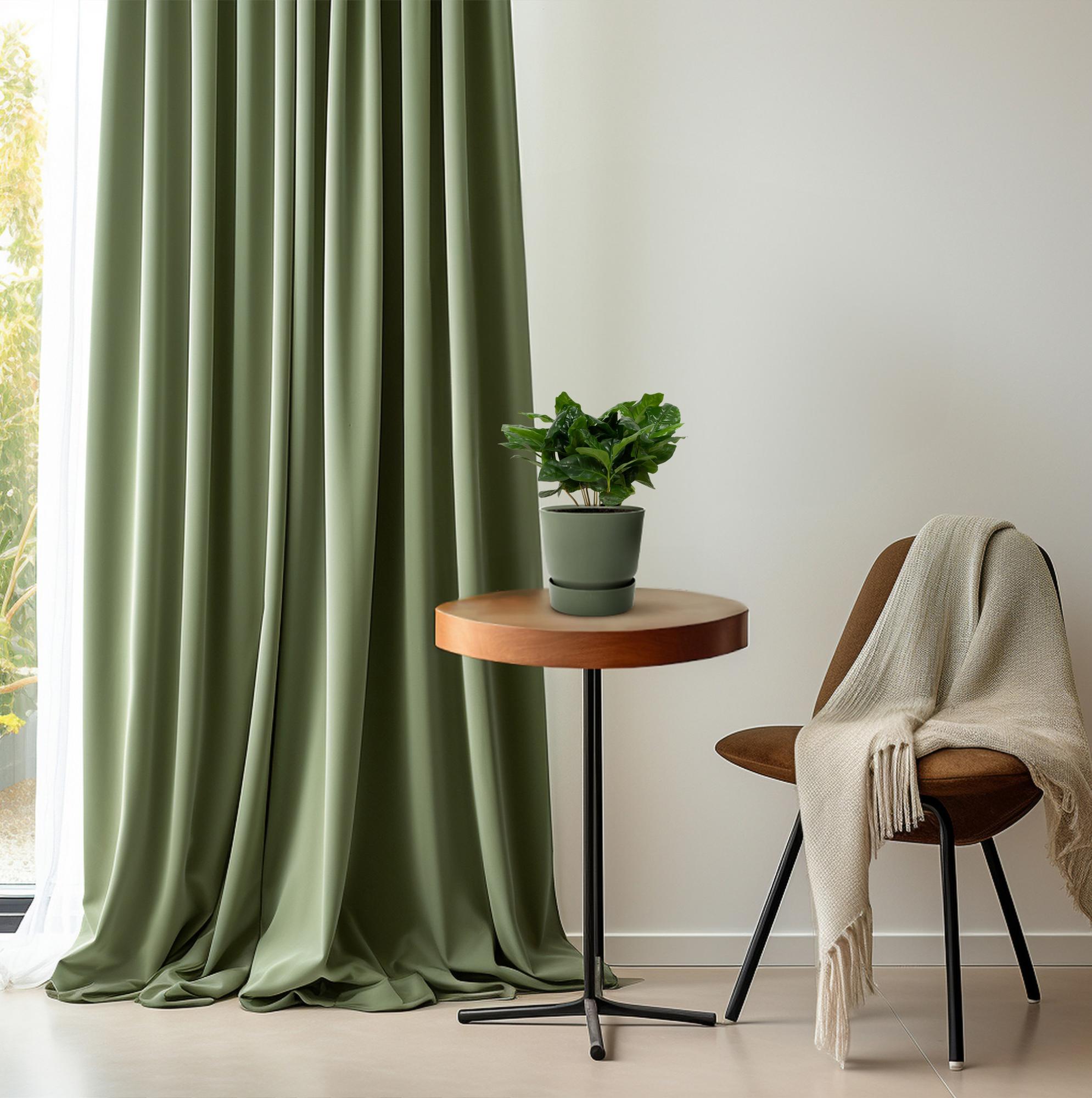 green-guardia-unsere-pflanzen-coffea-arabica-zimmerpflanze-12-cm image 3