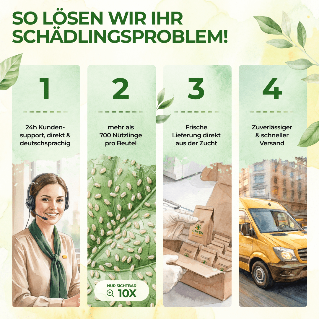 green-guardia-raubmilben-mix-streuware-1x-t-te-10m-trauerm-cken image 8