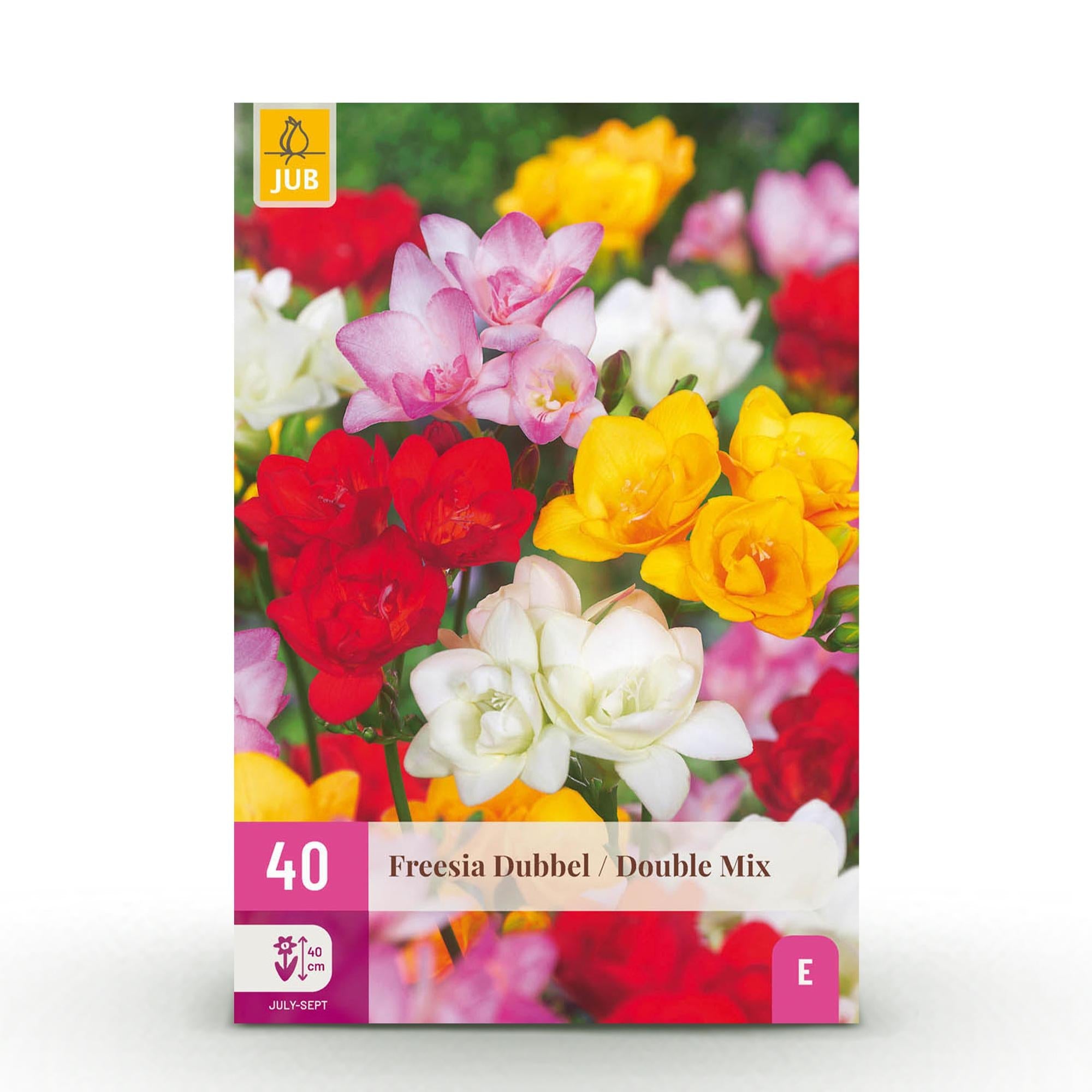 green-guardia-freesia-double-mix-blumenzwiebeln-40-st-ck image 1