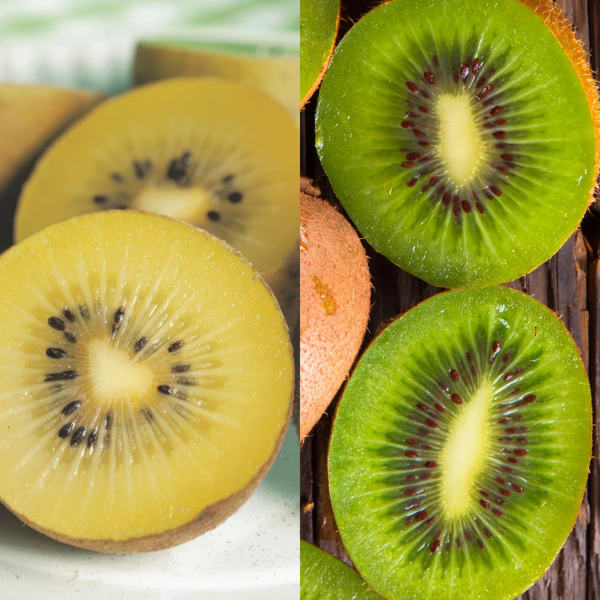 green-guardia-kiwi-pflanzen-set-jenny-gold-15-cm-topf-2er-set image 3