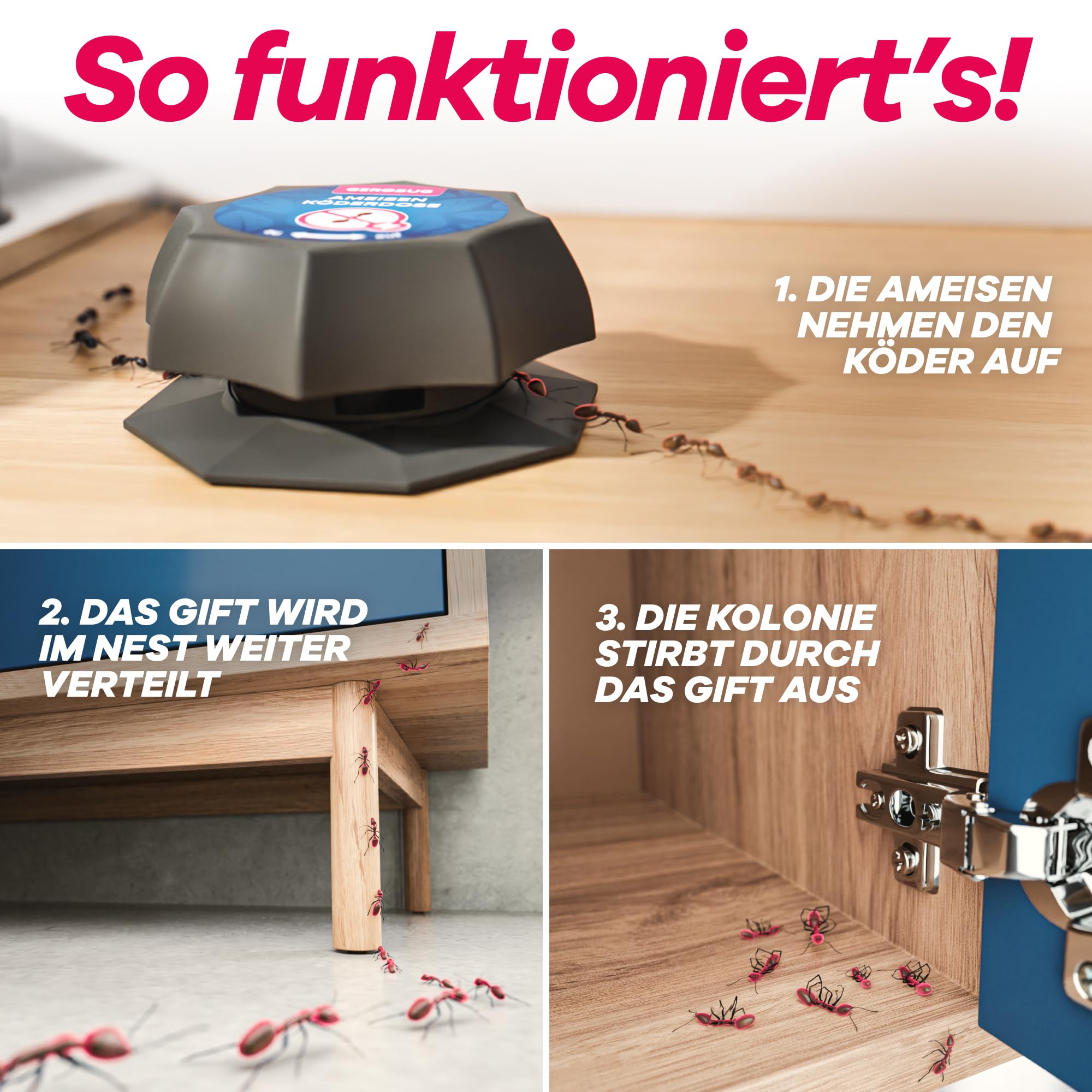 gerobug-ameisen-ameisen-k-derdose-4-stk-wohnbereich image 3