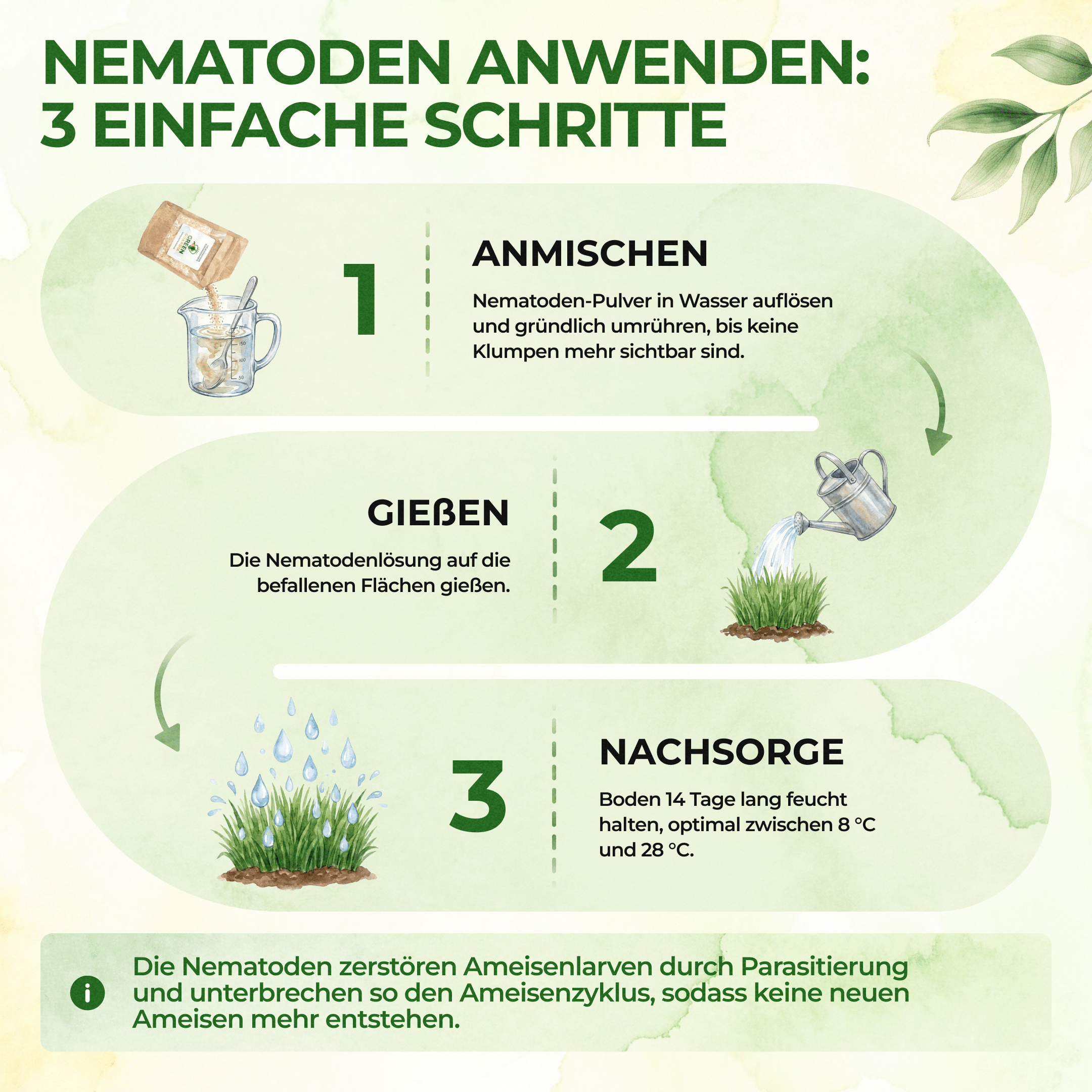 green-guardia-nematoden-gegen-kirschfruchtfliegen-6-mio-12m image 2