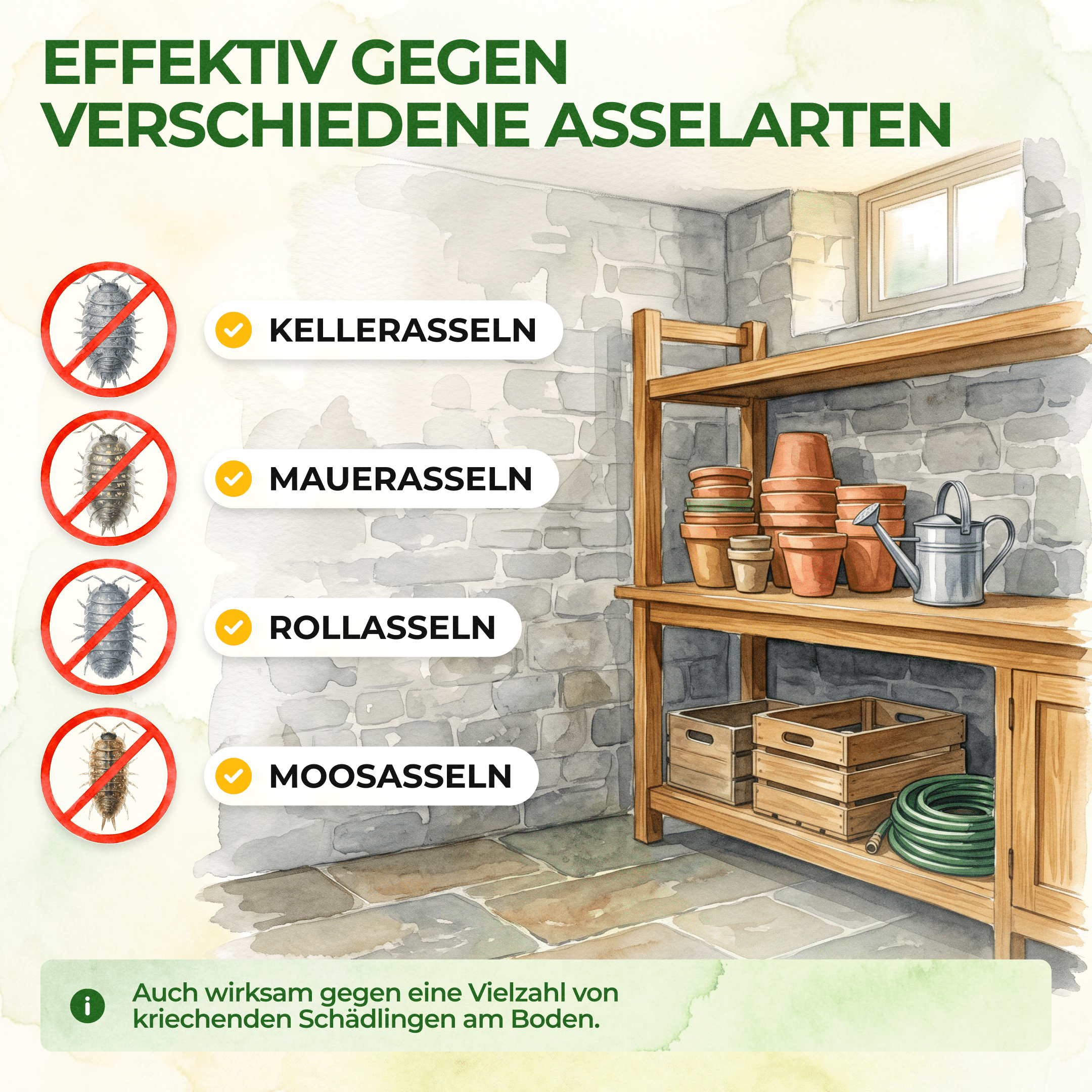 green-guardia-mehrweg-fallen-kellerasseln-falle-1-falle image 2