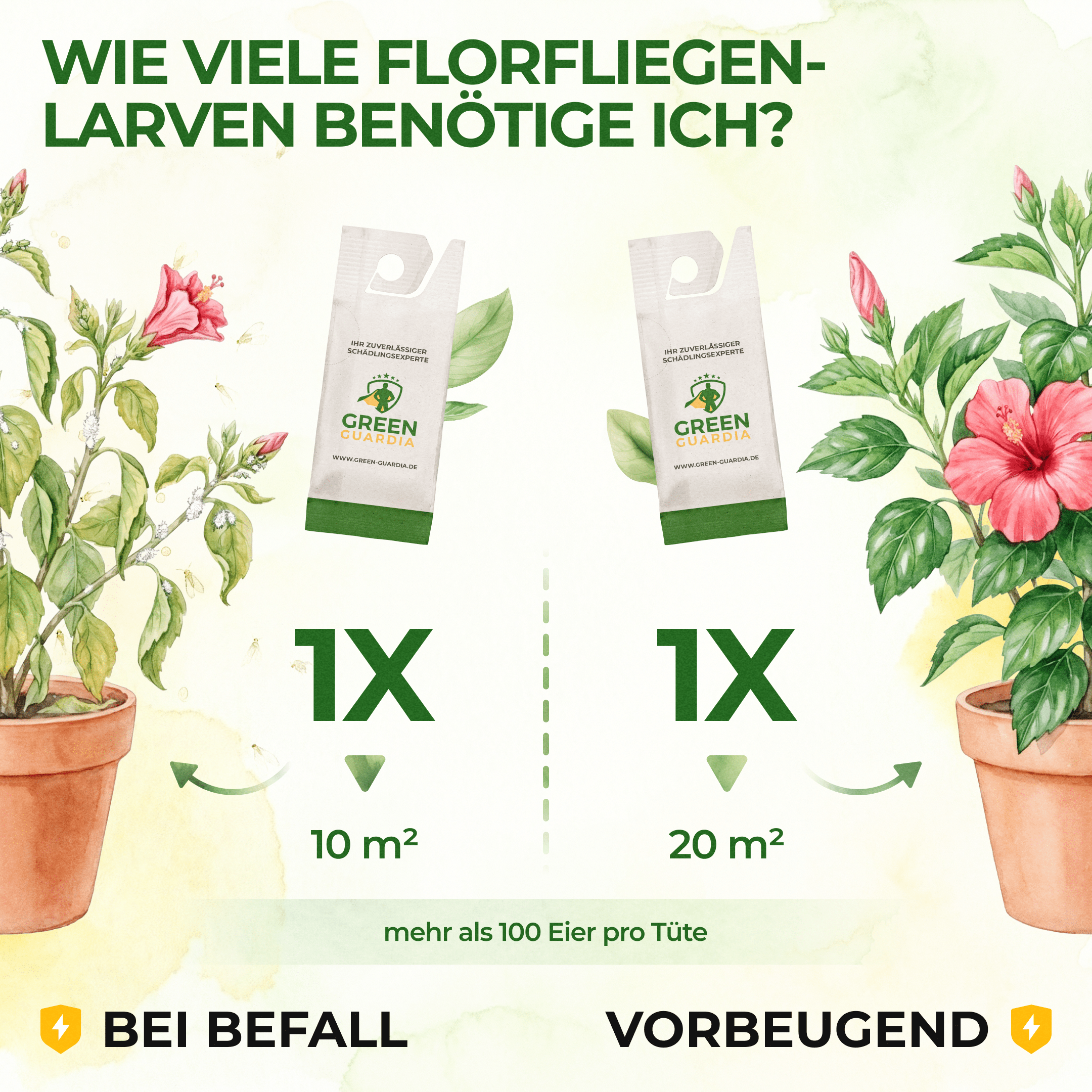 green-guardia-florfliegenlarven-eier-gegen-blattl-use-1-t-te image 4