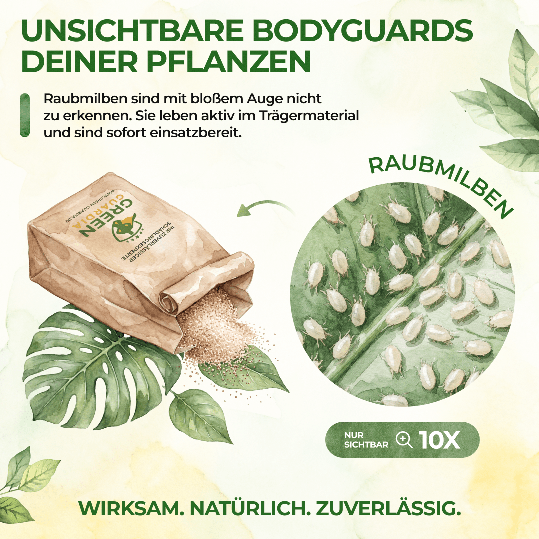 green-guardia-raubmilben-mix-streuware-1x-t-te-10m-trauerm-cken image 5
