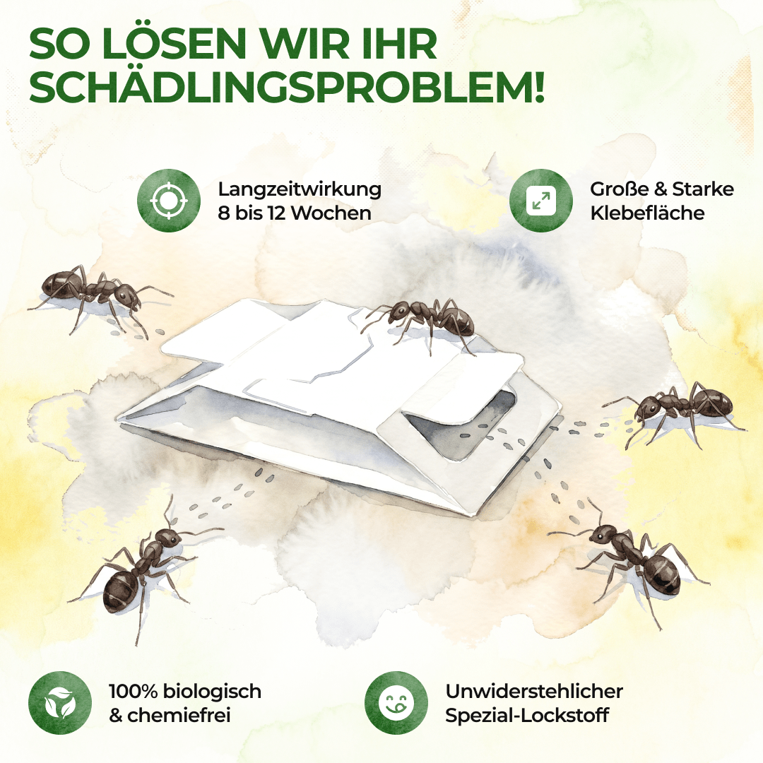 green-guardia-mehrweg-fallen-ameisen-falle-3-fallen-giftfrei-lockstoff image 5