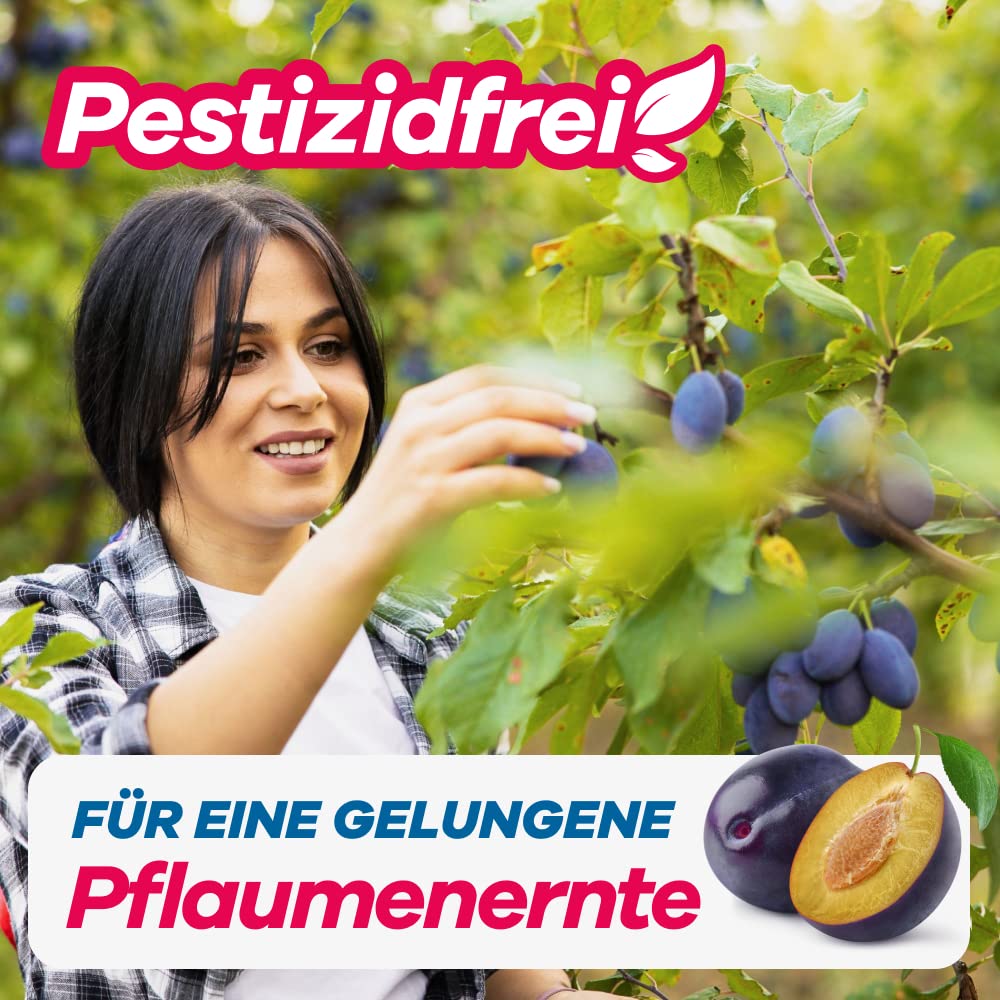 gerobug-pflaumenwickler-pheromonfalle-2-st-ck-berwachung image 3