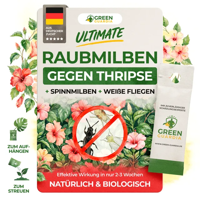green-guardia-swirskii-raubmilben-gegen-thripse-1-t-te image 1