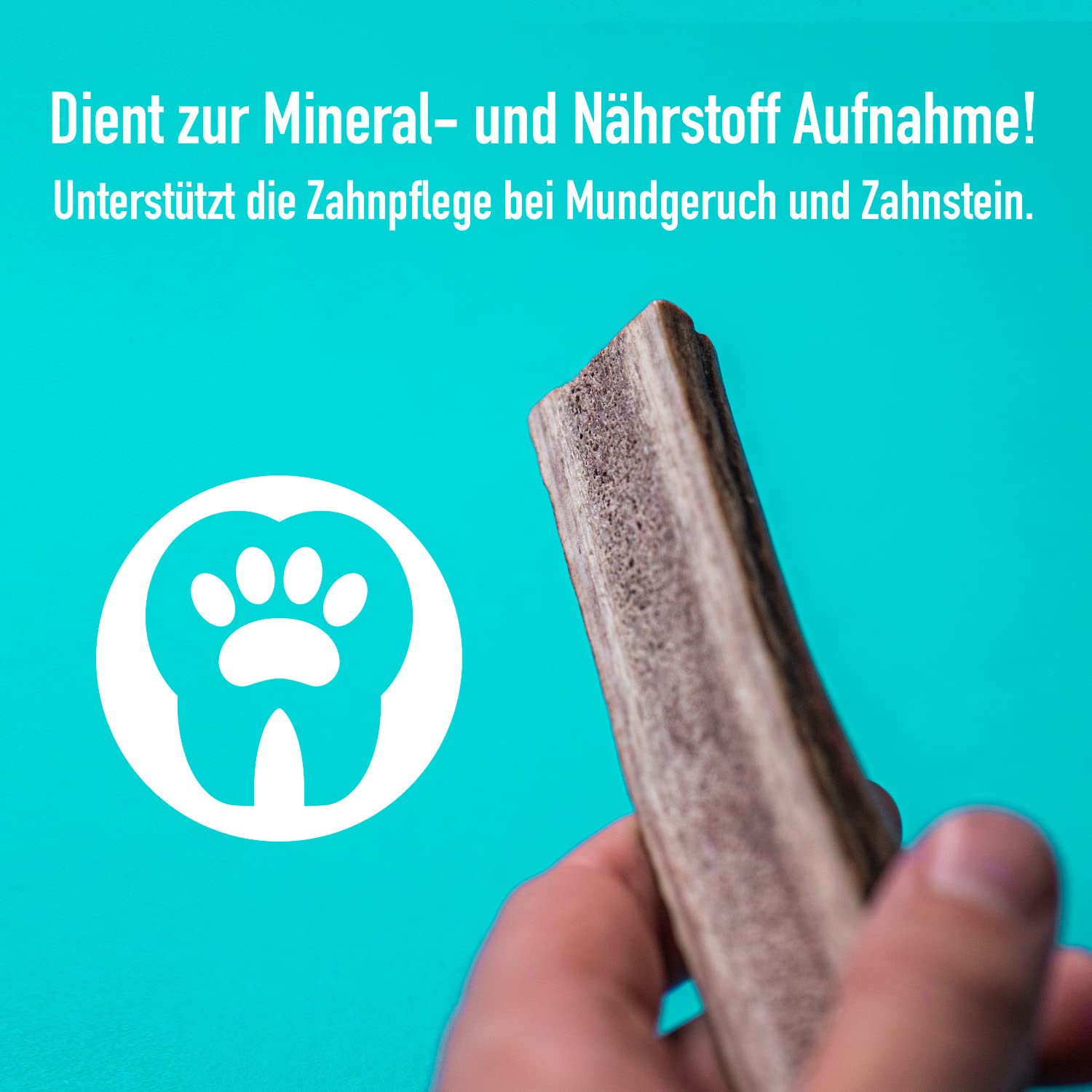 greenhero-haustiere-hirschgeweih-kauknochen-m-11-cm-halbiert image 4