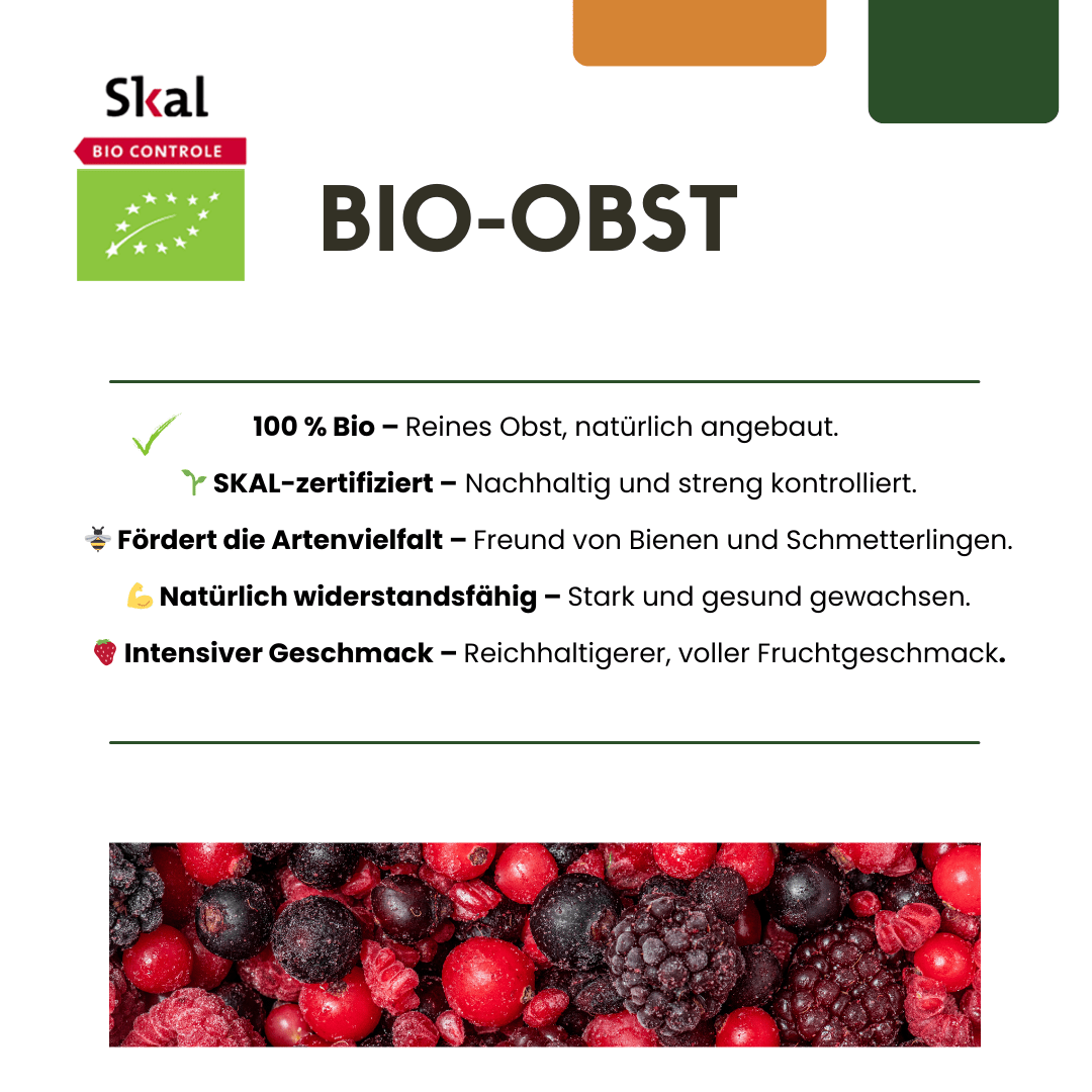green-guardia-unsere-pflanzen-bio-feigenbaum-feigenpflanze-13-cm-bio image 2