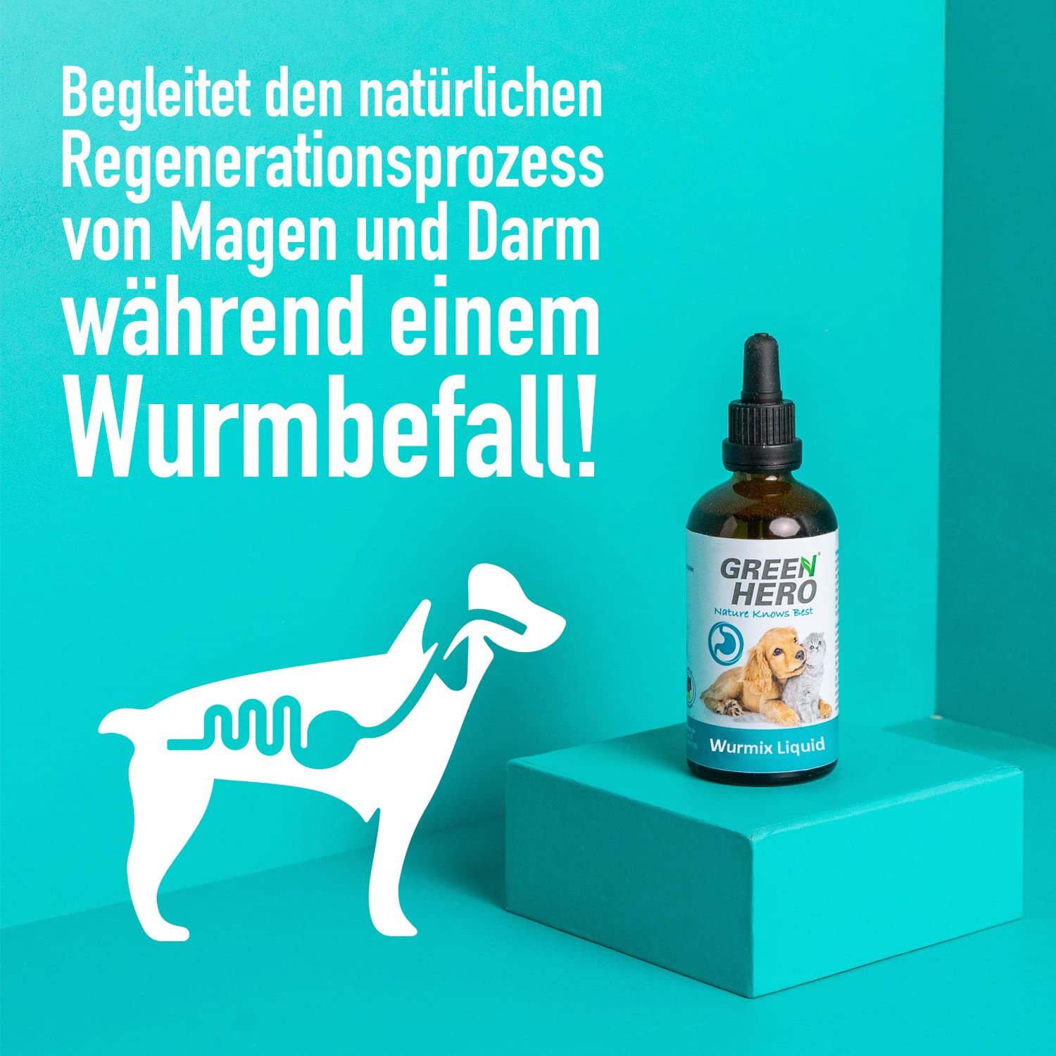 greenhero-wurmix-liquid-wurmkur-f-r-hund-und-katze-100-ml-nat-rlich image 4