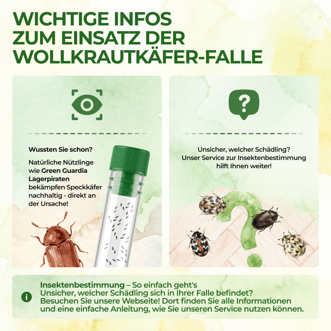 green-guardia-mehrweg-fallen-pelzk-fer-falle-1x-falle-chemiefrei image 7