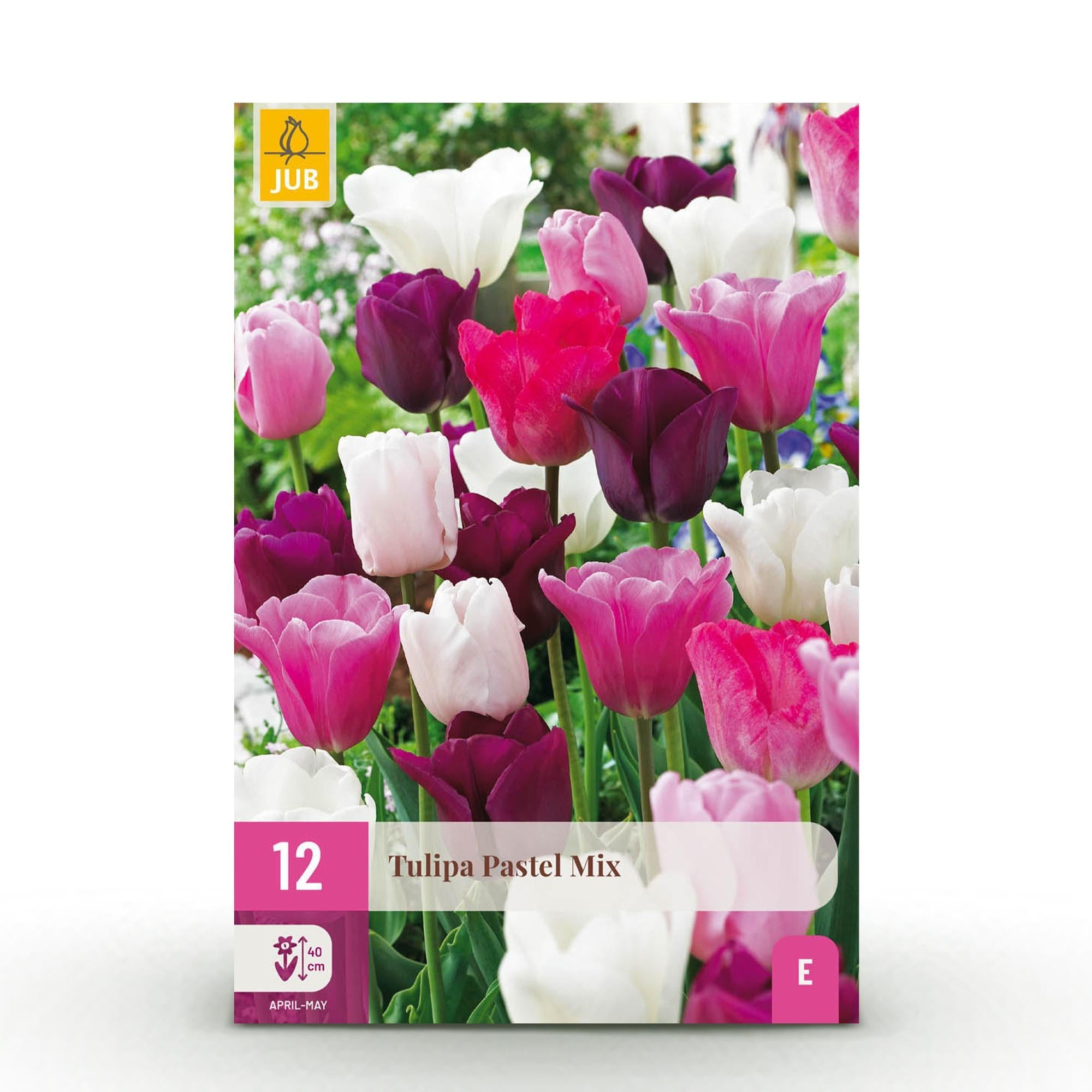 green-guardia-tulipa-pastel-mix-blumenzwiebeln-12-st-ck-pastell image 1