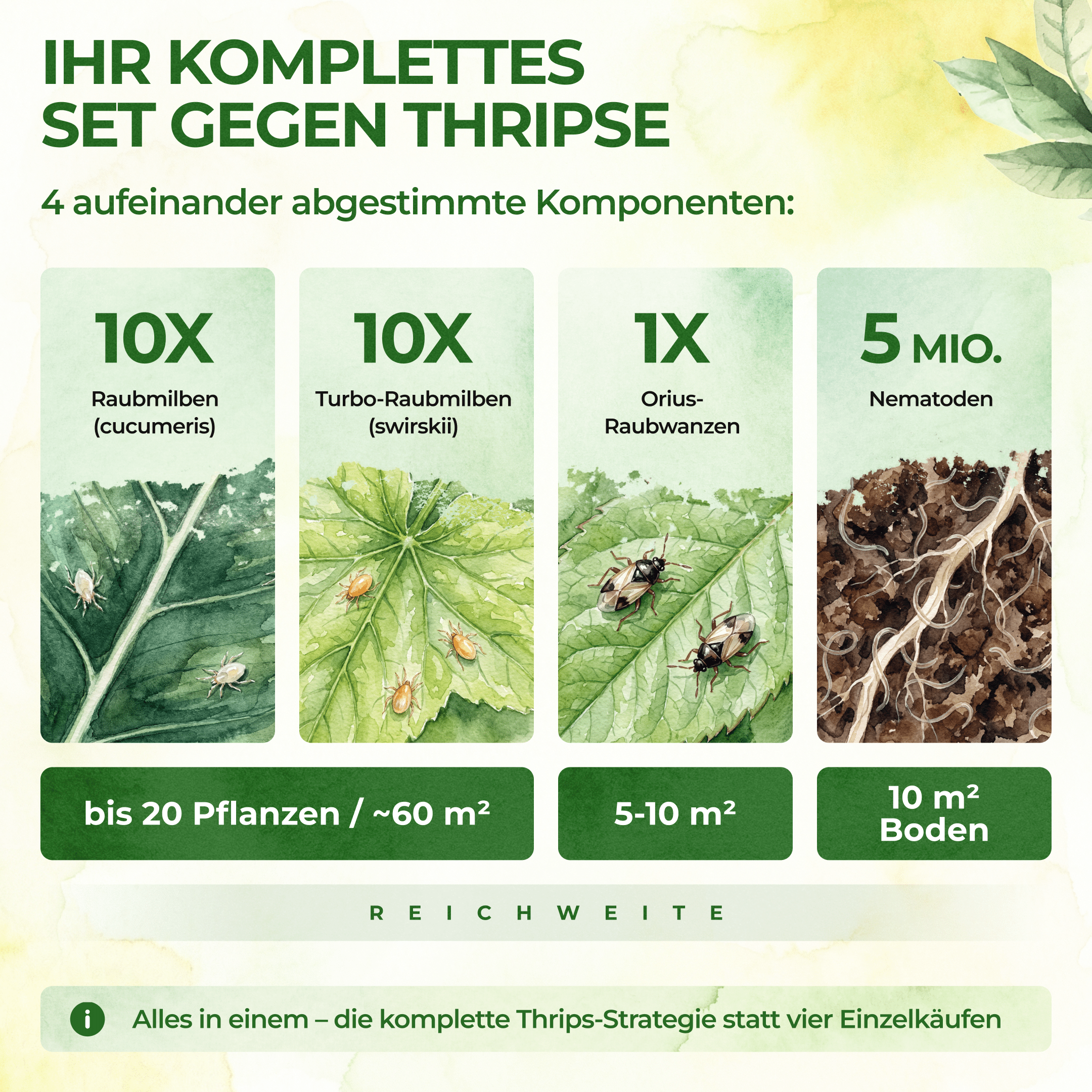 green-guardia-thripse-frei-bundle-n-tzlinge-soforthilfe image 4