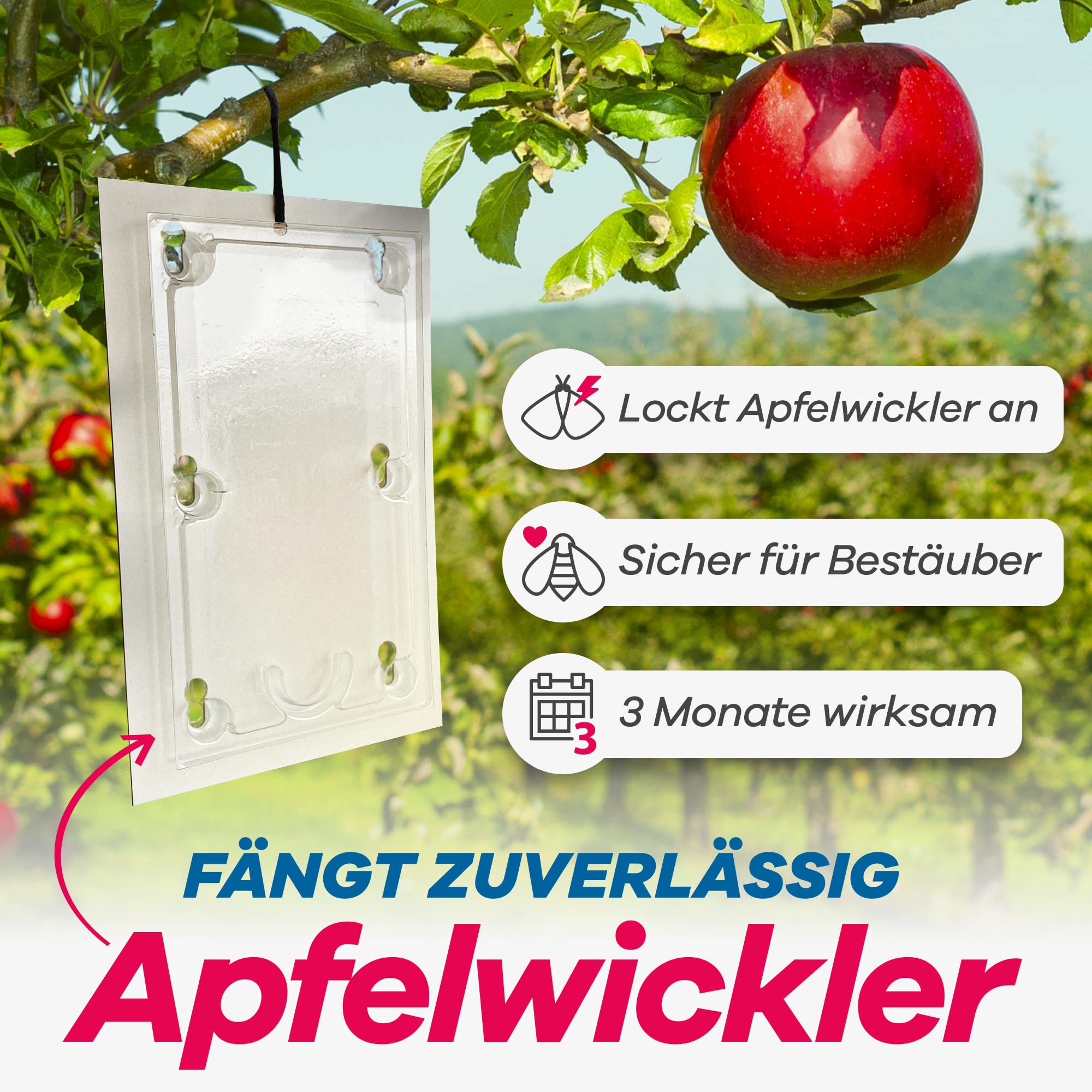 gerobug-apfelwickler-pheromonfalle-2-st-ck-apfelbaum image 2