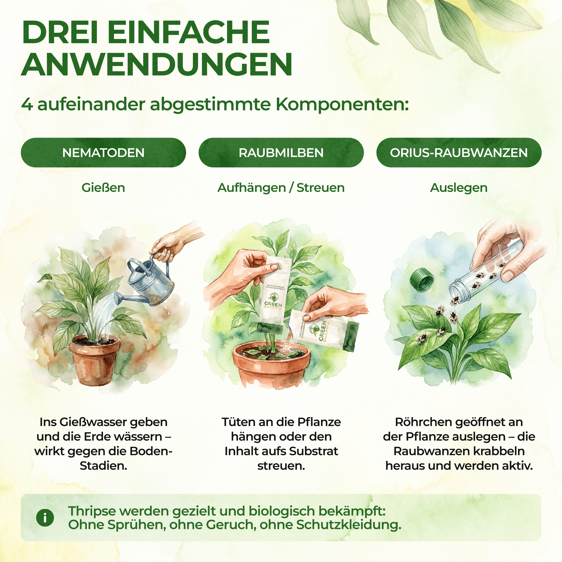 green-guardia-thripse-frei-bundle-n-tzlinge-soforthilfe image 5