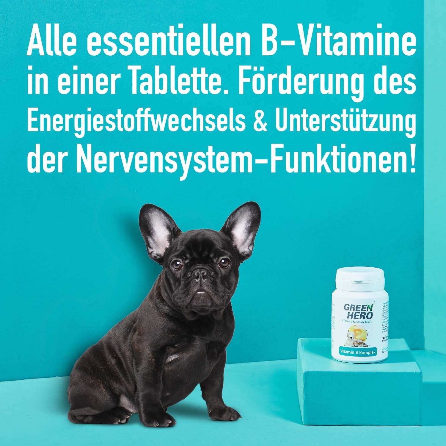 greenhero-haustiere-vitamin-b-komplex-hund-100-tabletten image 4