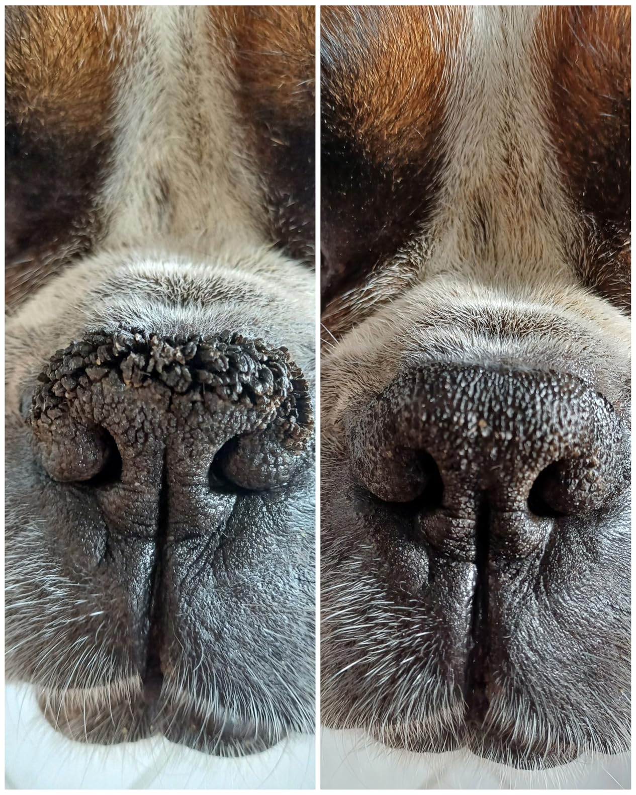 Nase wieder weich