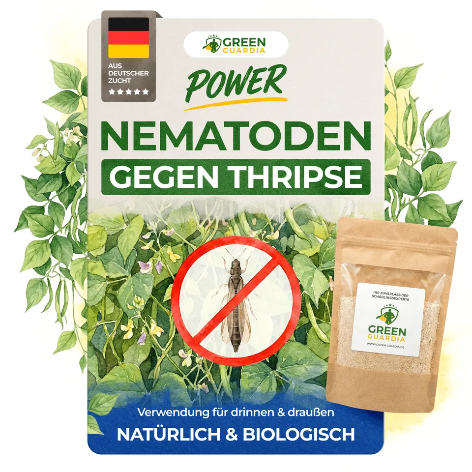 green-guardia-nematoden-gegen-thripse-n-tzlinge-0-5-mio-f-r-1-m image 1