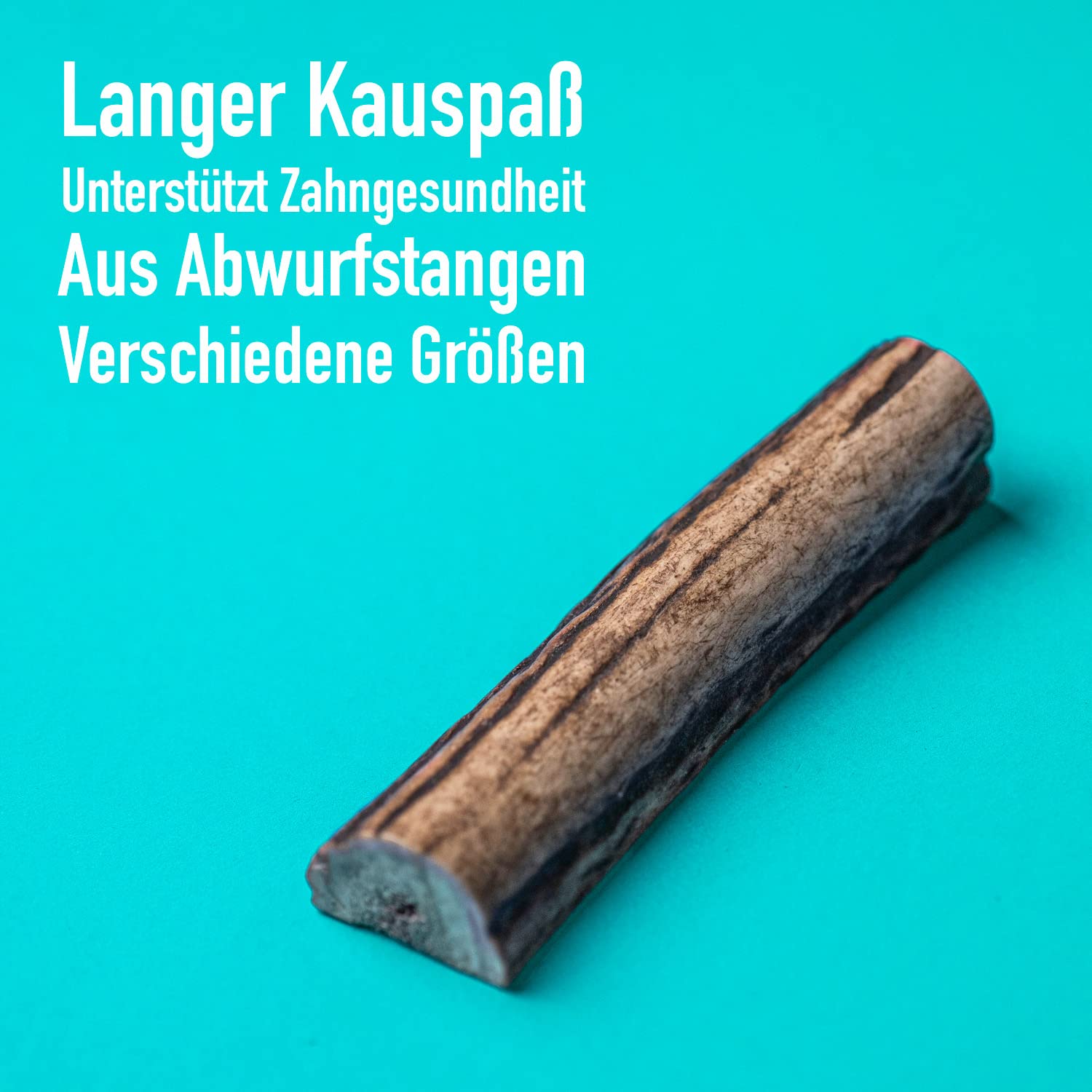 greenhero-haustiere-hirschgeweih-kauknochen-m-11-cm-halbiert image 2