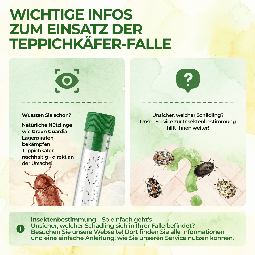 green-guardia-mehrweg-fallen-teppichk-fer-falle-3-fallen-giftfrei image 5