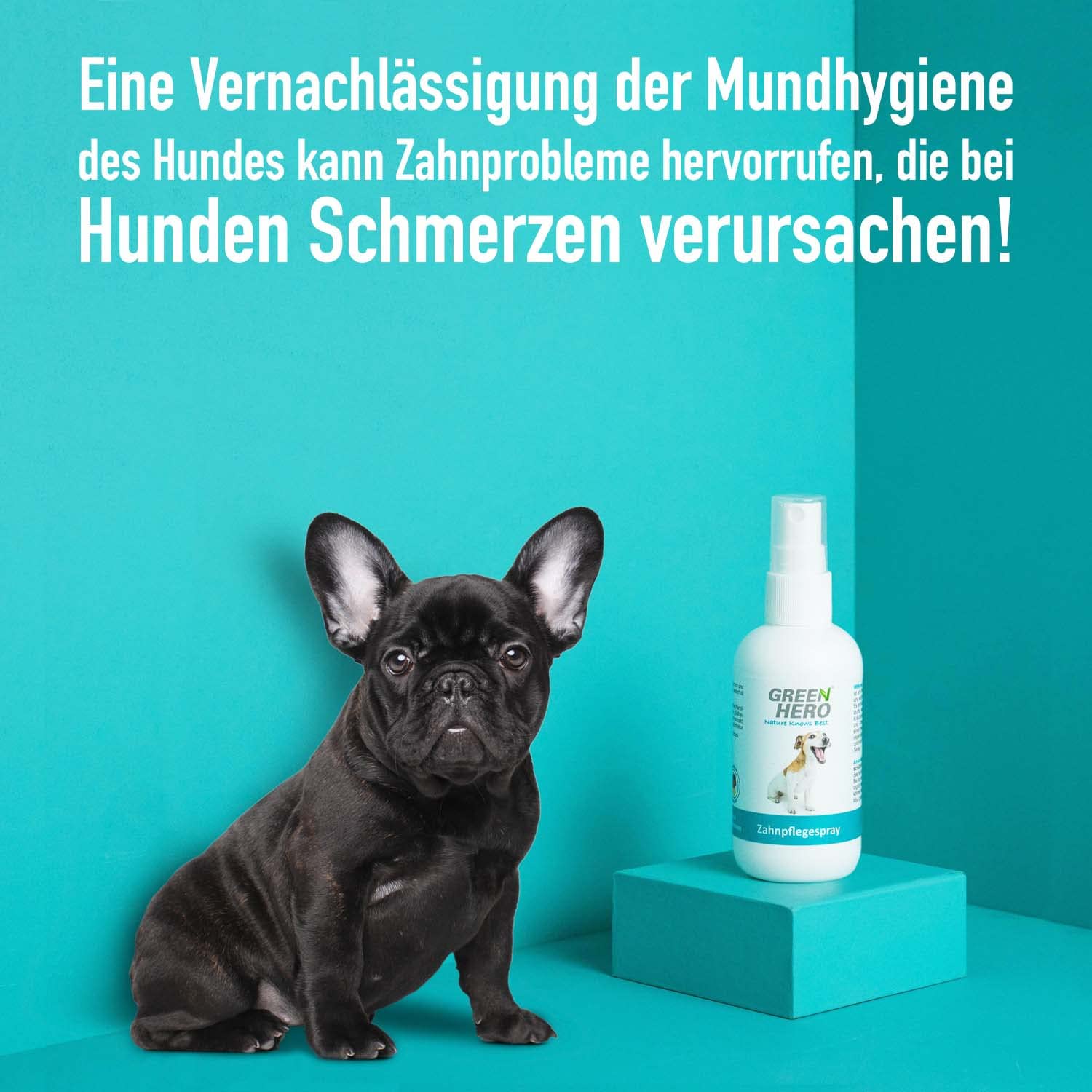 greenhero-haustiere-zahnpflegespray-hund-100-ml-kamille image 4