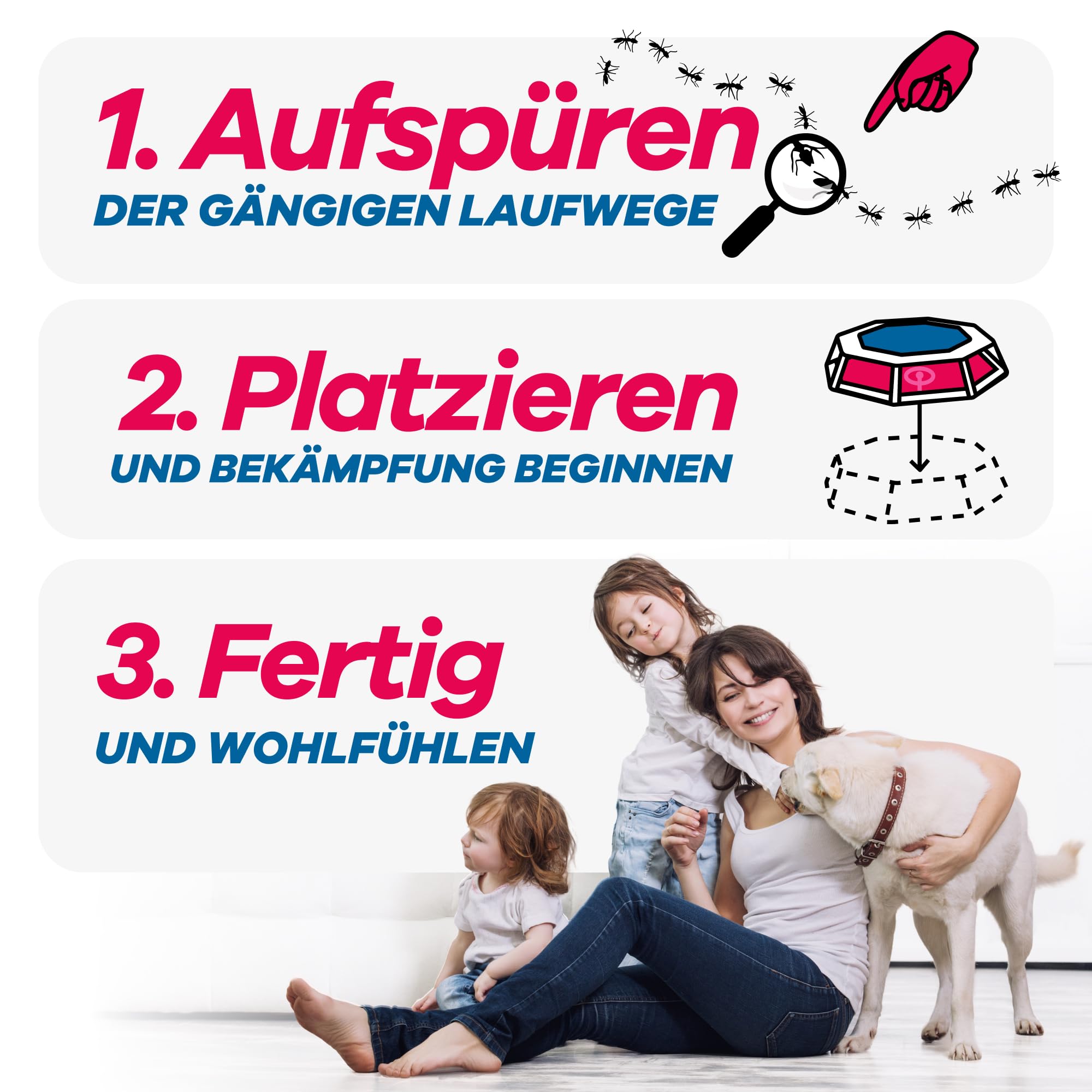 gerobug-ameisen-ameisen-k-derdose-4-stk-wohnbereich image 5