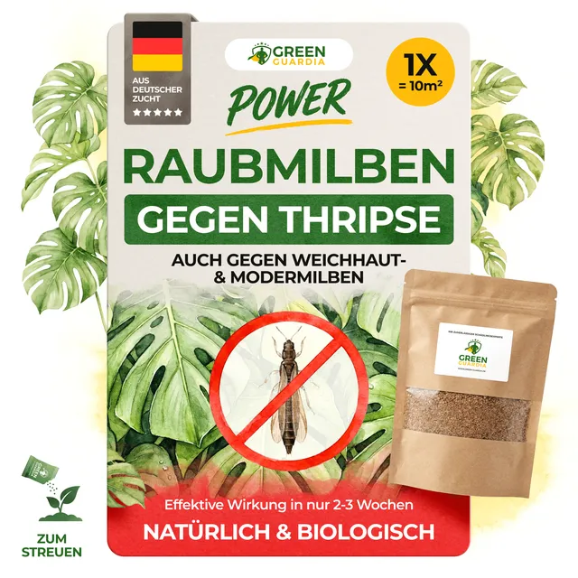 green-guardia-raubmilben-gegen-thripse-n-tzlinge-10-m image 1