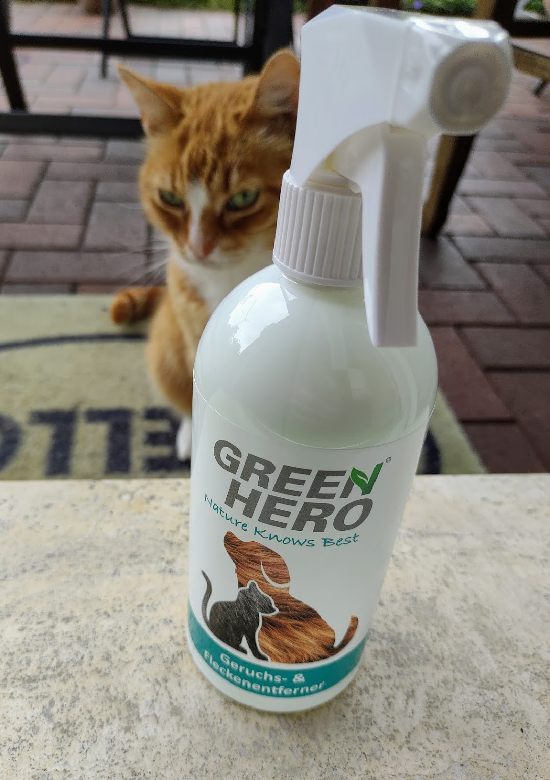 Katzenklo sauber