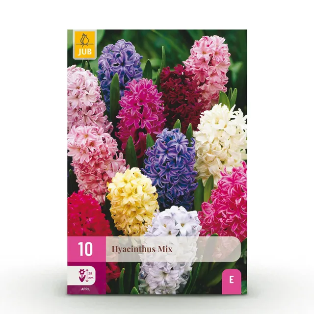 green-guardia-unsere-pflanzen-hyazinthenmix-blumenzwiebeln-10-st image 1