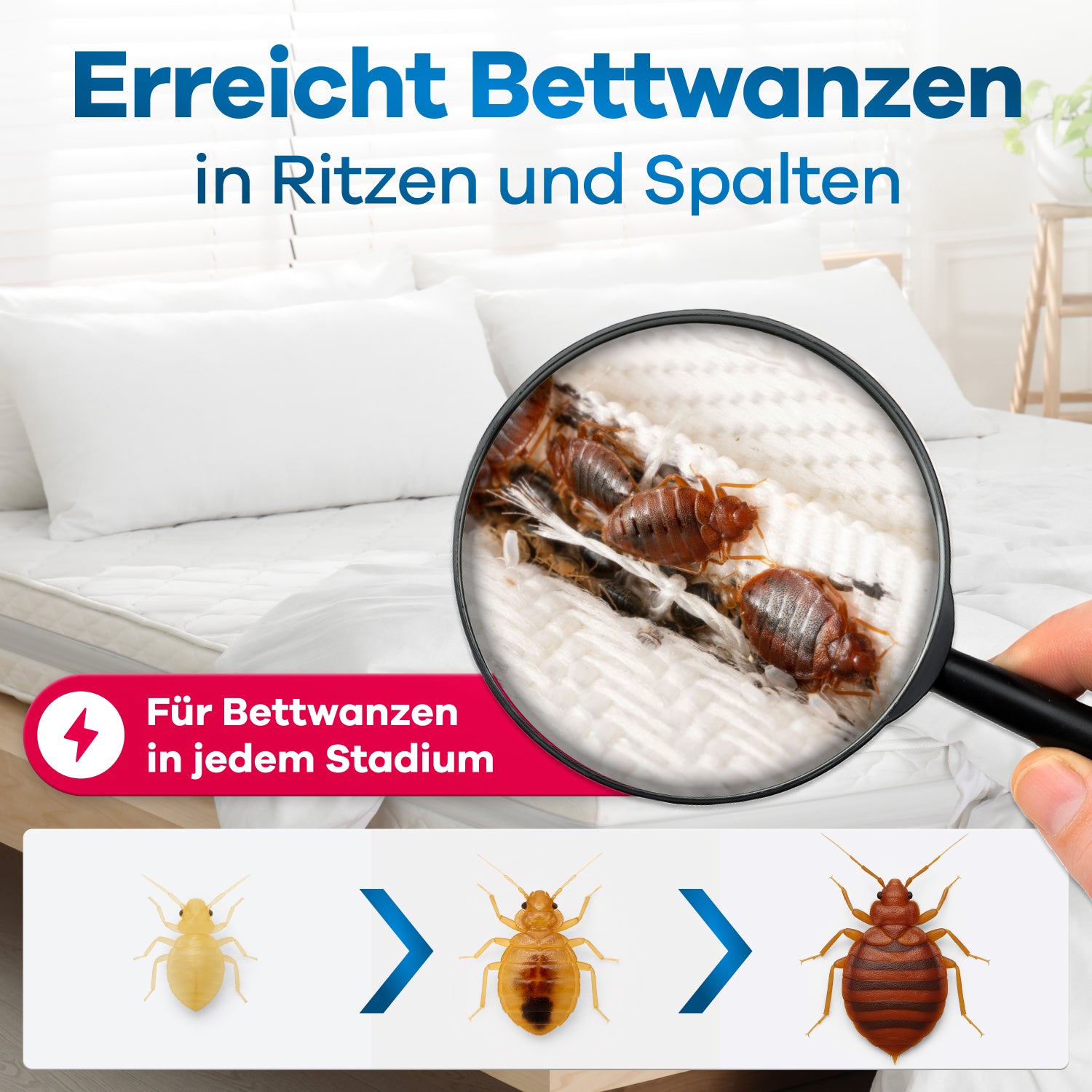 gerobug-bettwanzen-vernebler-bettwanzenmittel-doppelpack-geraniol image 3