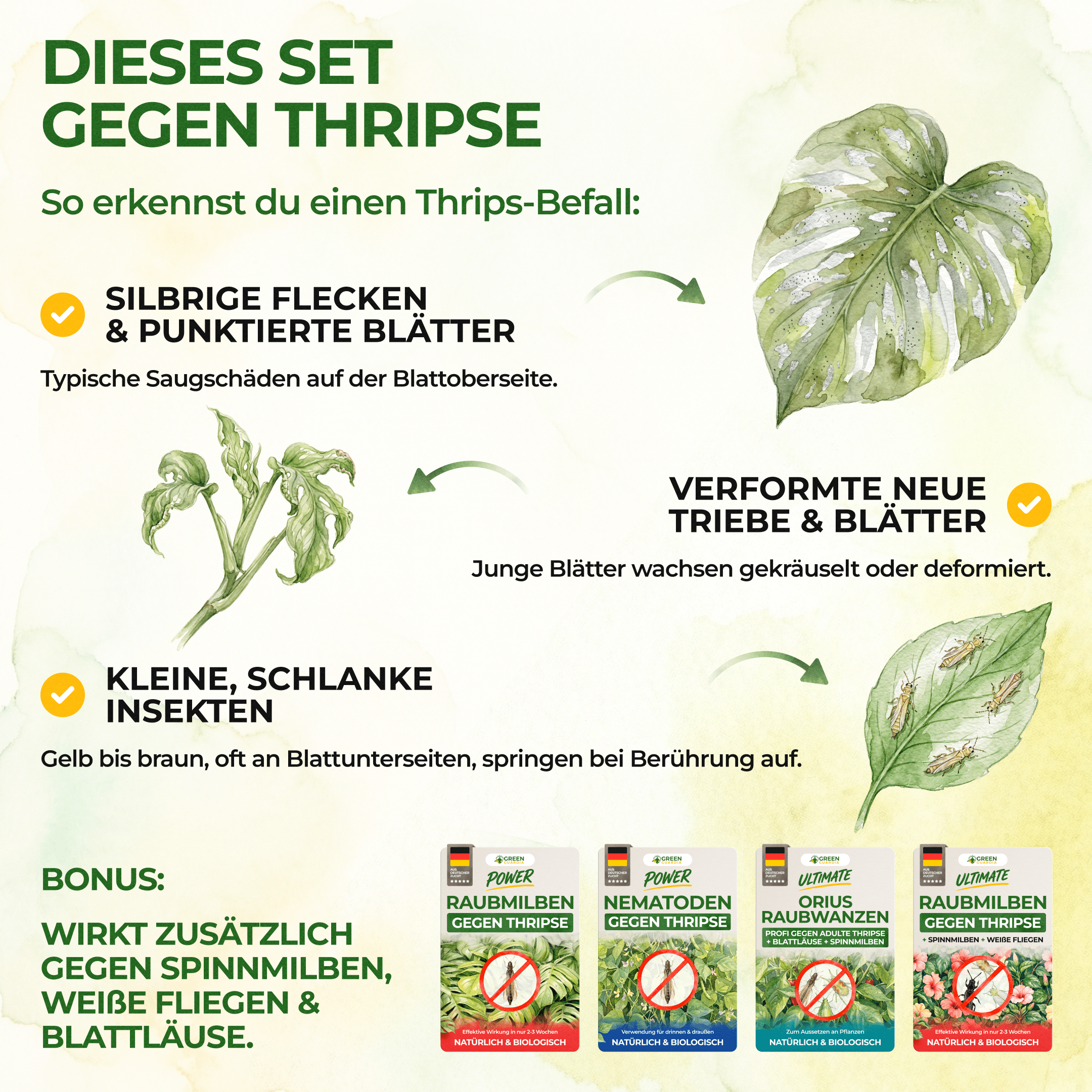 green-guardia-thripse-frei-bundle-n-tzlinge-soforthilfe image 2