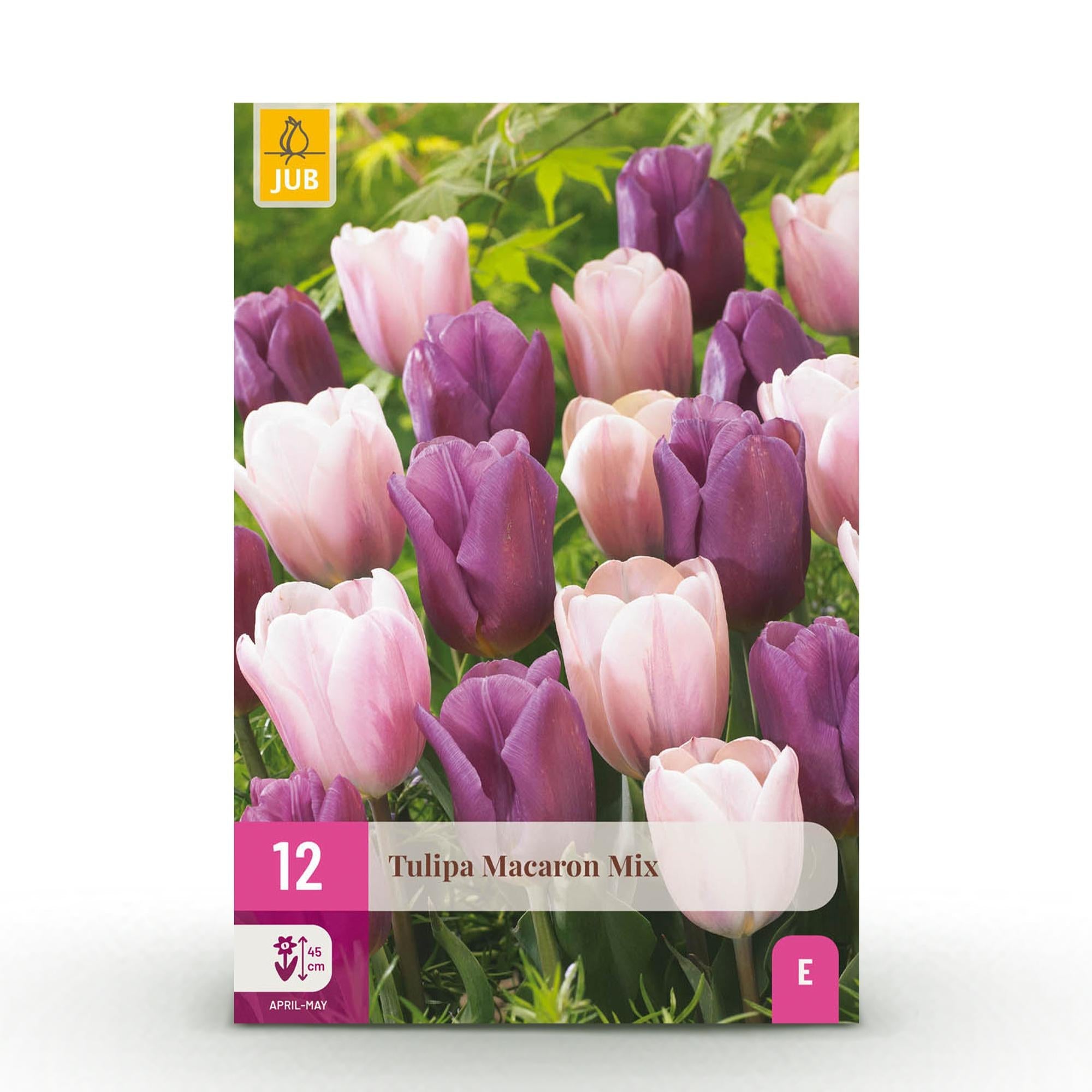 green-guardia-tulpe-macron-mix-blumenzwiebeln-12-st-ck-winterhart image 1