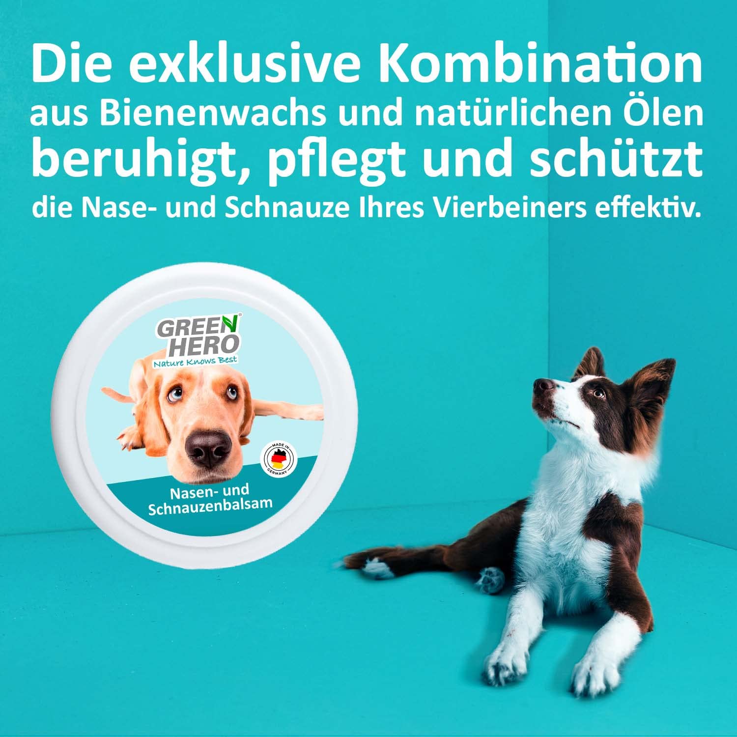 greenhero-nasen-und-schnauzenbalsam-hund-75-ml-bienenwachs image 4