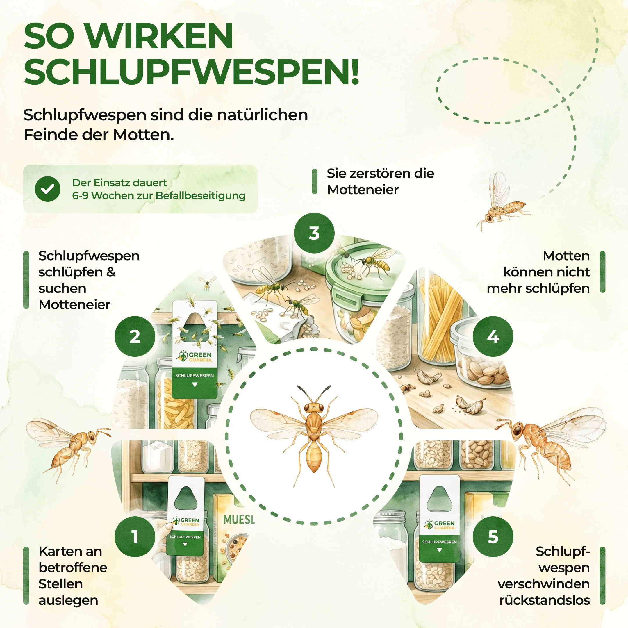 green-guardia-schlupfwespen-gegen-lebensmittelmotten-3-karten image 2