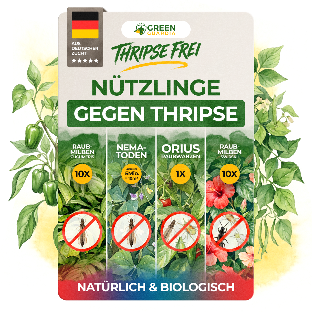 green-guardia-thripse-frei-bundle-n-tzlinge-soforthilfe image 1
