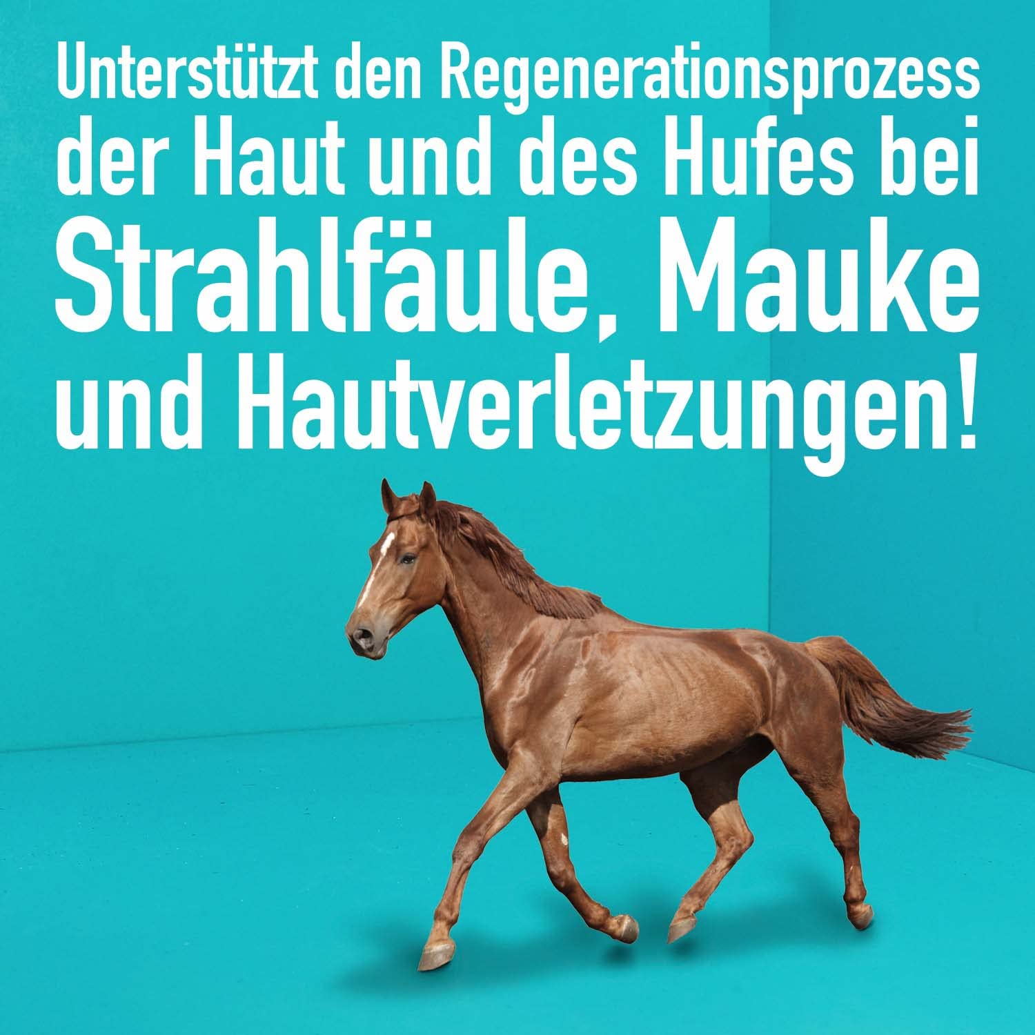 greenhero-hufpflege-pferd-spray-500-ml-bei-mauke image 4