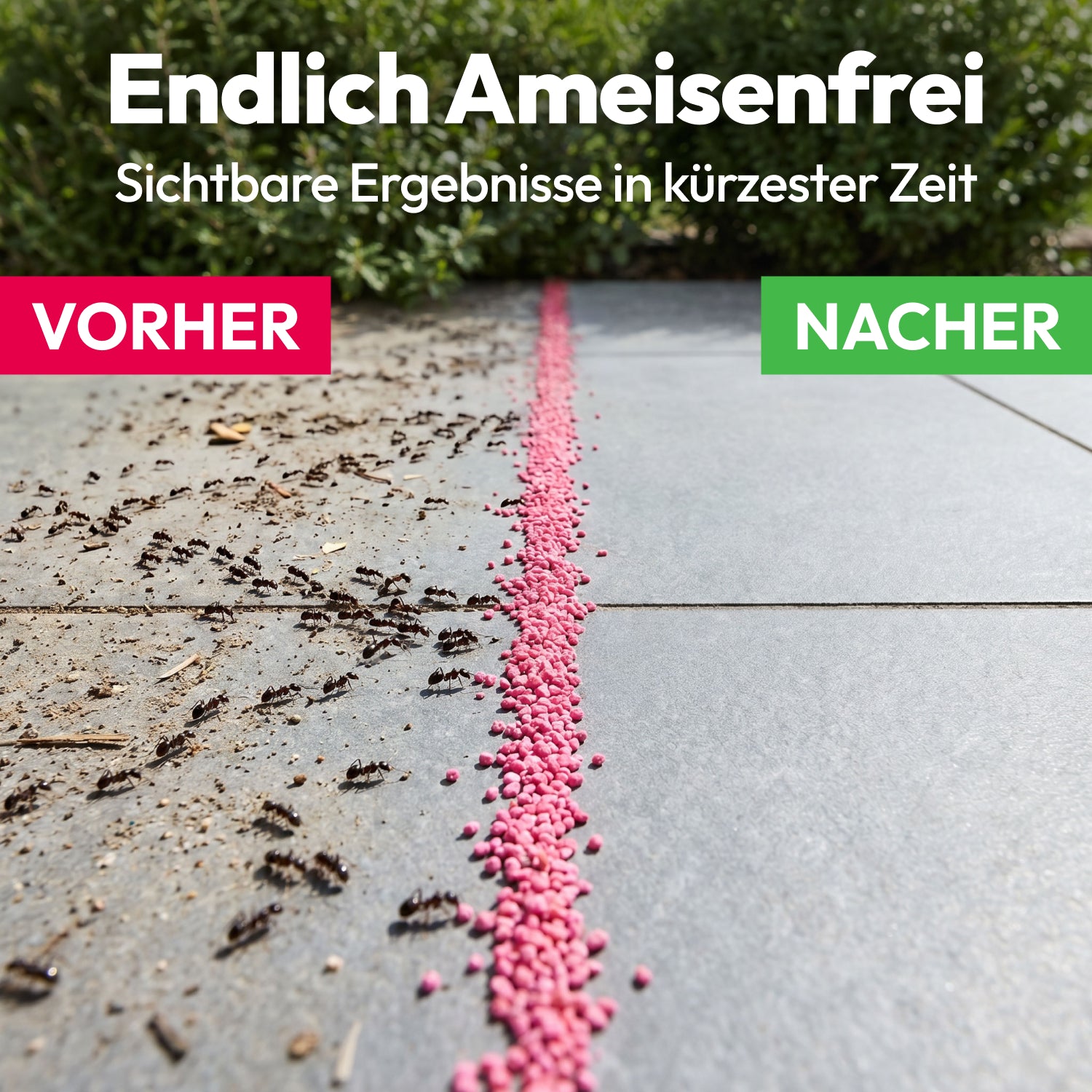 gerobug-ameisen-frei-granulat-500-g-gegen-nester-und-laufwege image 4