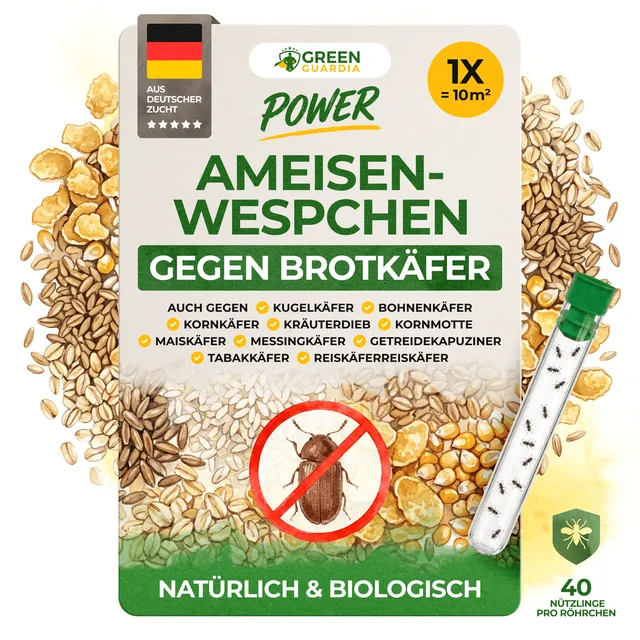 green-guardia-ameisenwespchen-gg-brotk-fer-40-st-ck-10-m image 1
