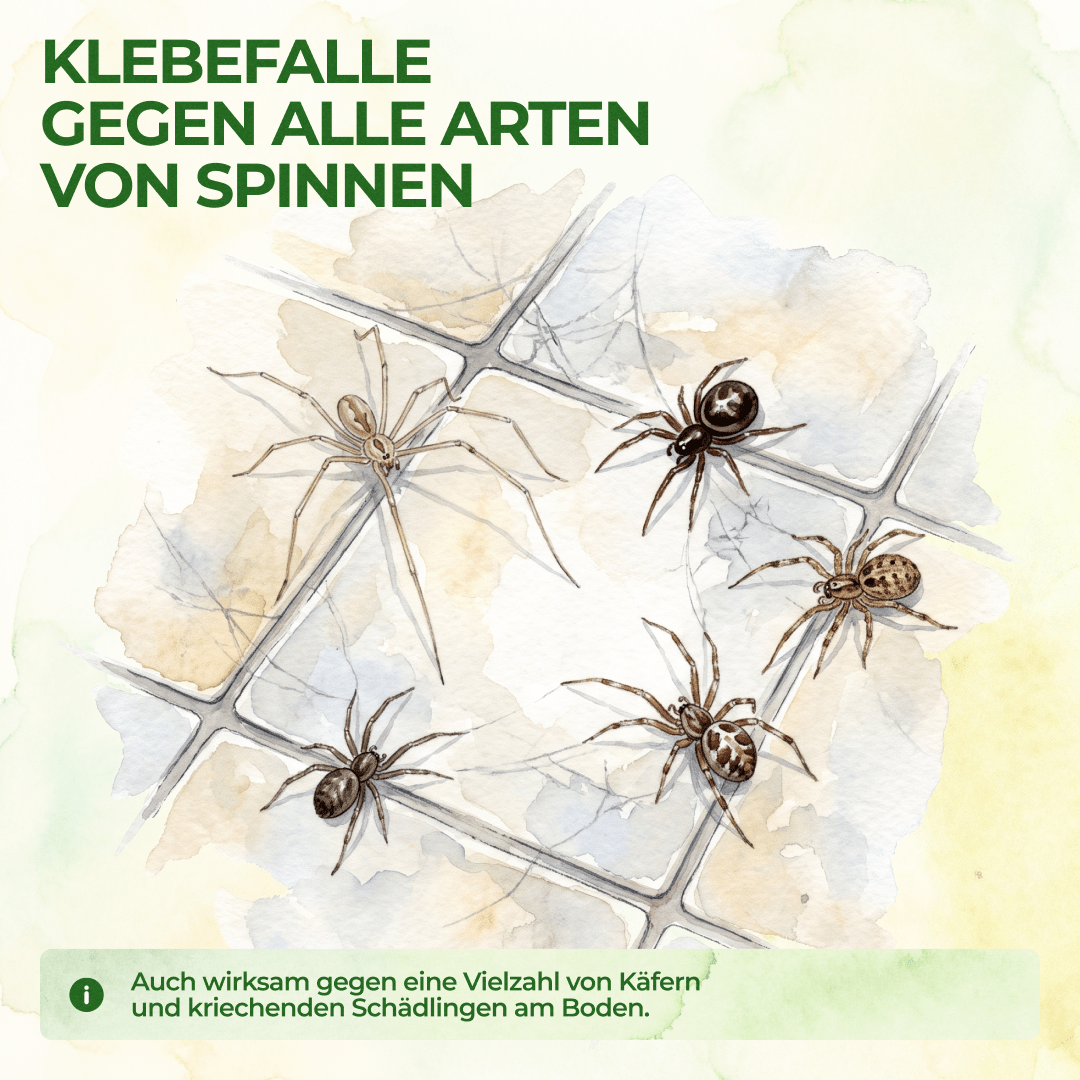 green-guardia-mehrweg-fallen-spinnen-falle-3x-mit-lockstoff image 2