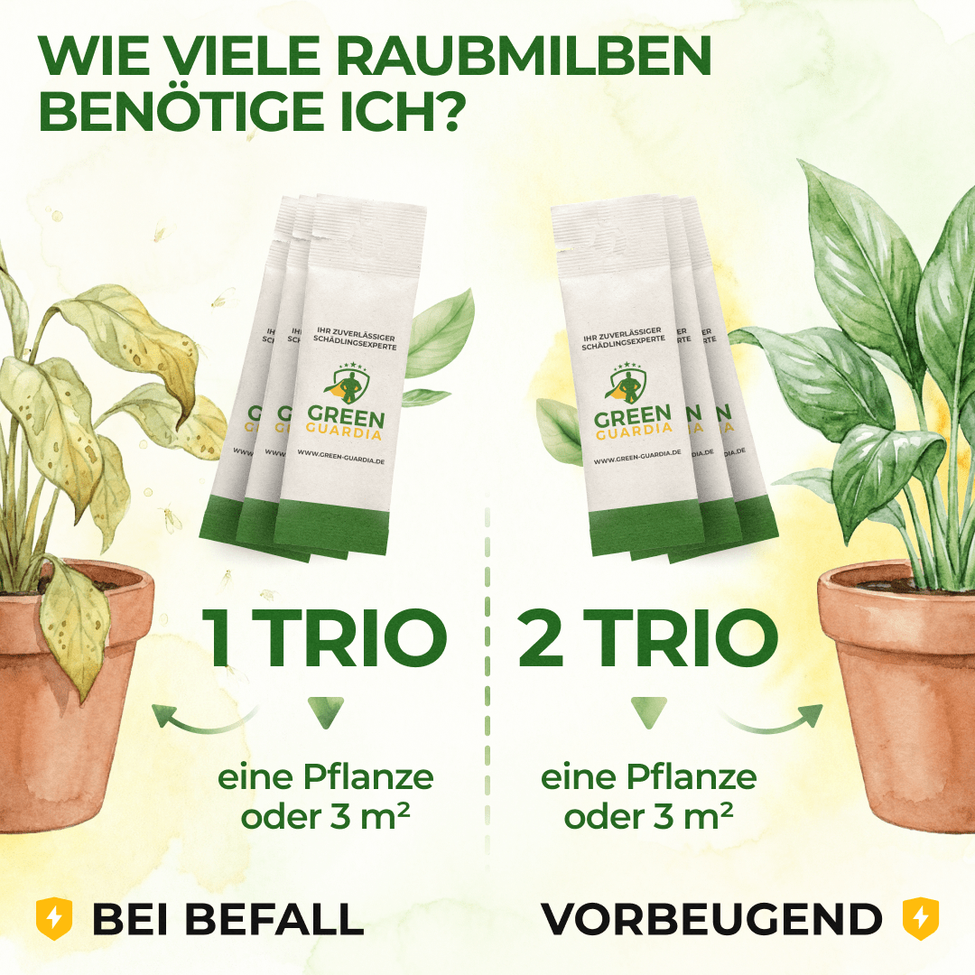 green-guardia-raubmilben-trio-n-tzlinge-3-t-ten-thripse-set image 4