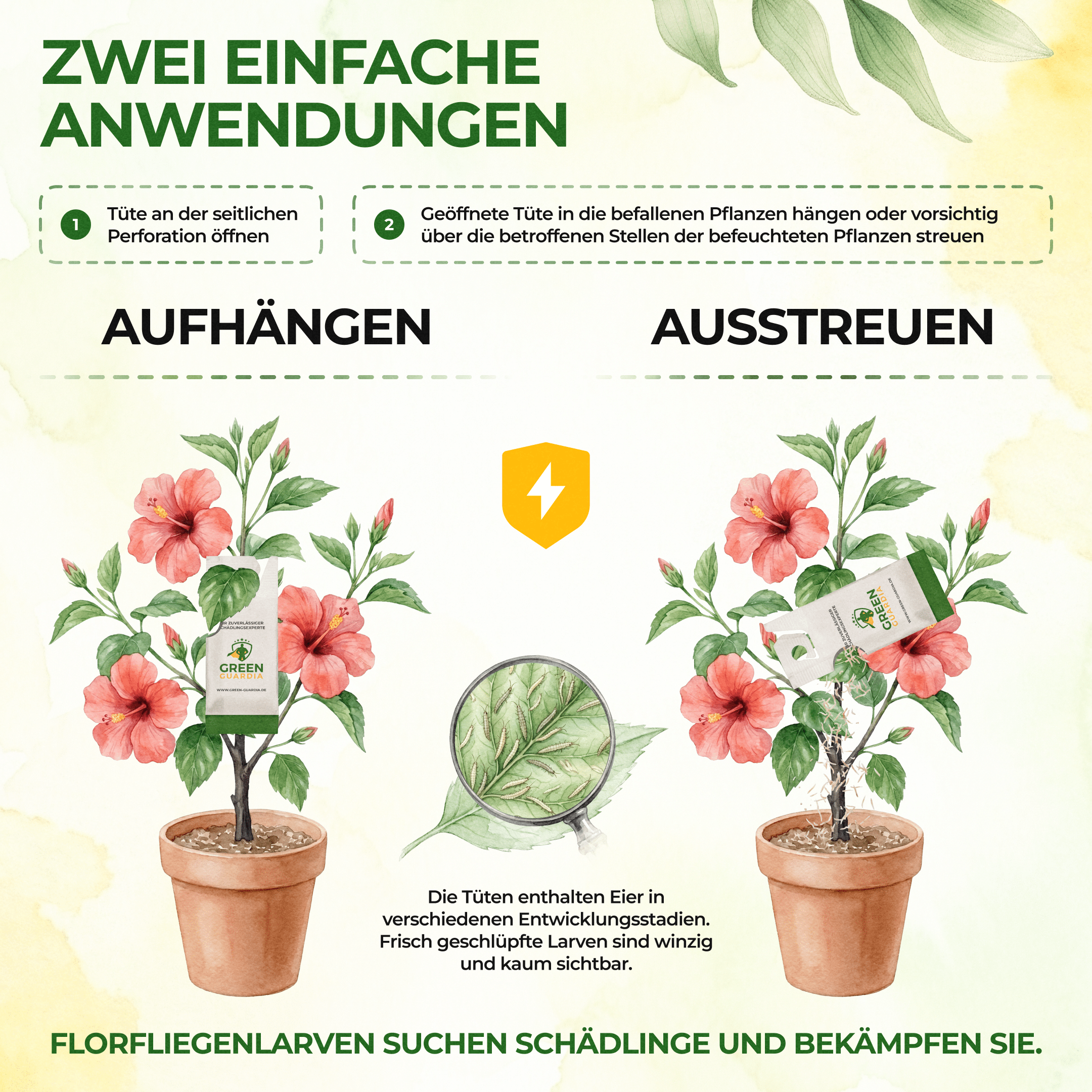 green-guardia-florfliegenlarven-eier-gegen-blattl-use-1-t-te image 3