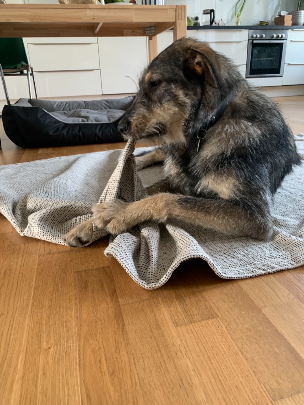 Tischbein egal