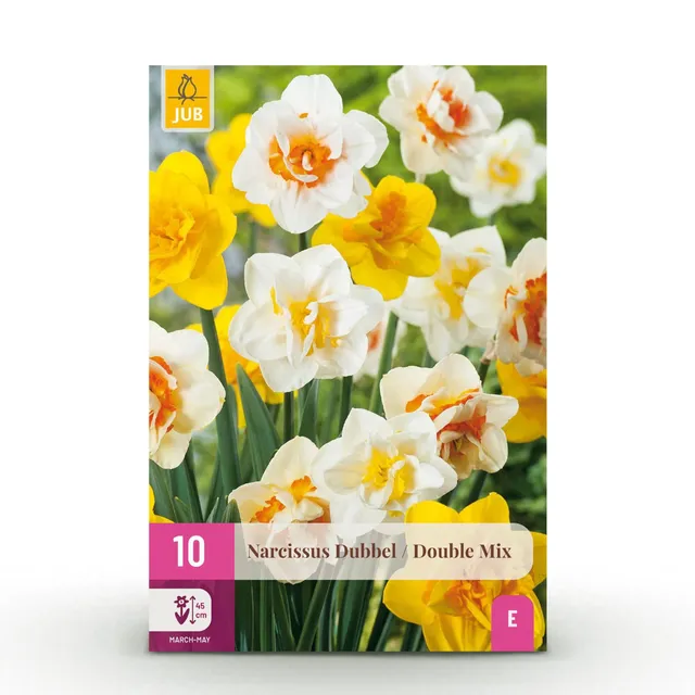 green-guardia-unsere-pflanzen-narcissus-double-mix-narzissen-10st image 1