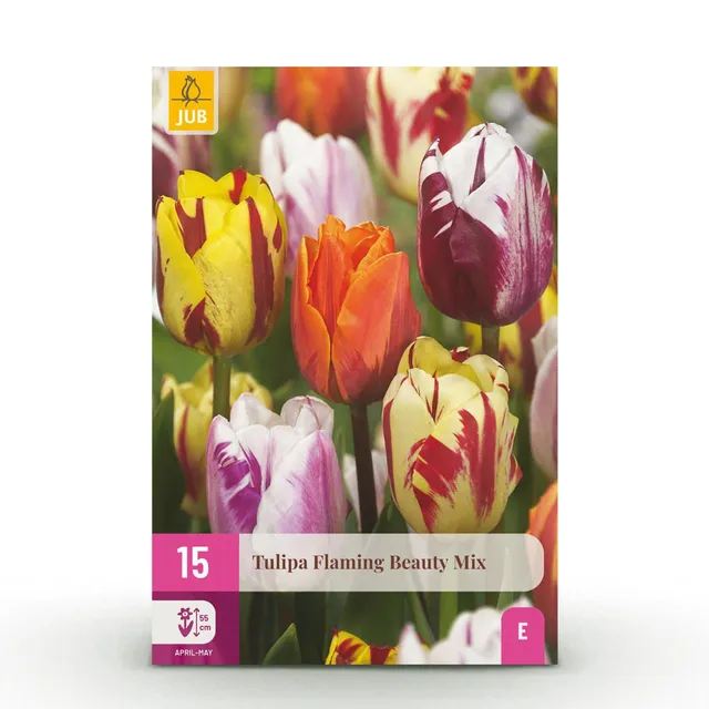 green-guardia-tulpe-flaming-beauty-blumenzwiebeln-15-st-ck image 1