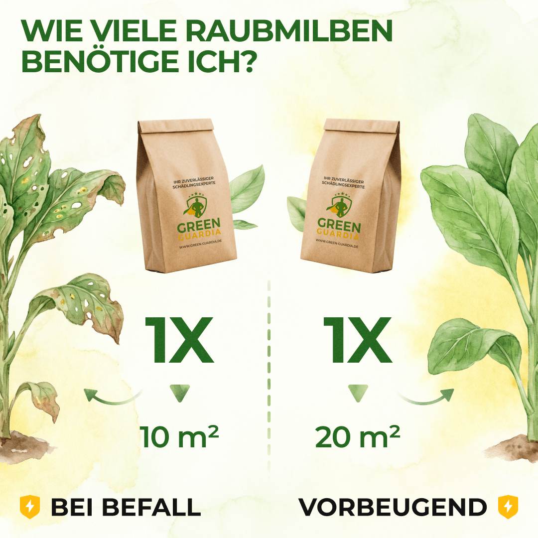 green-guardia-raubmilben-mix-streuware-1x-t-te-10m-trauerm-cken image 3
