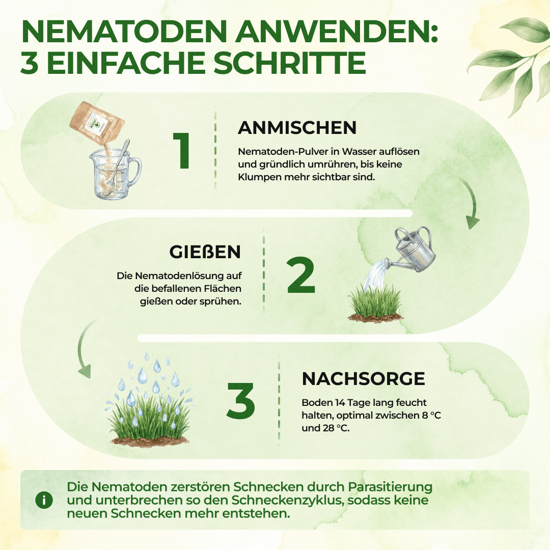 green-guardia-nematoden-hb-n-tzlinge-gegen-dickmaulr-ssler-1-mio-f-r-2m image 4