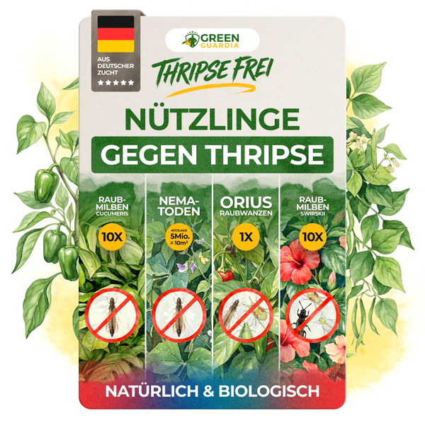 green-guardia-raubmilben-thrips-free-bundle-n-tzlinge-4-fach-set image 3