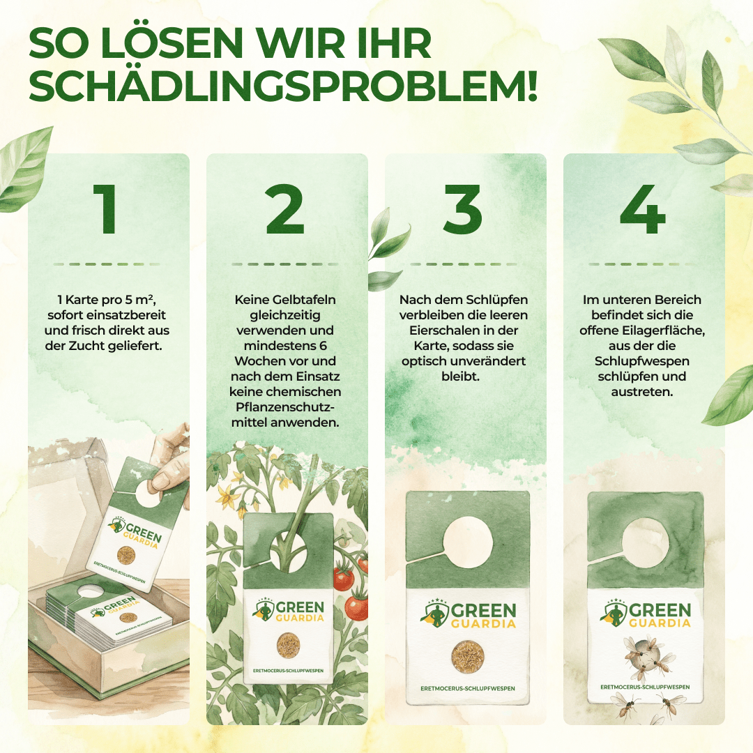 green-guardia-encarsia-schlupfwespen-n-tzlinge-1-karte image 3